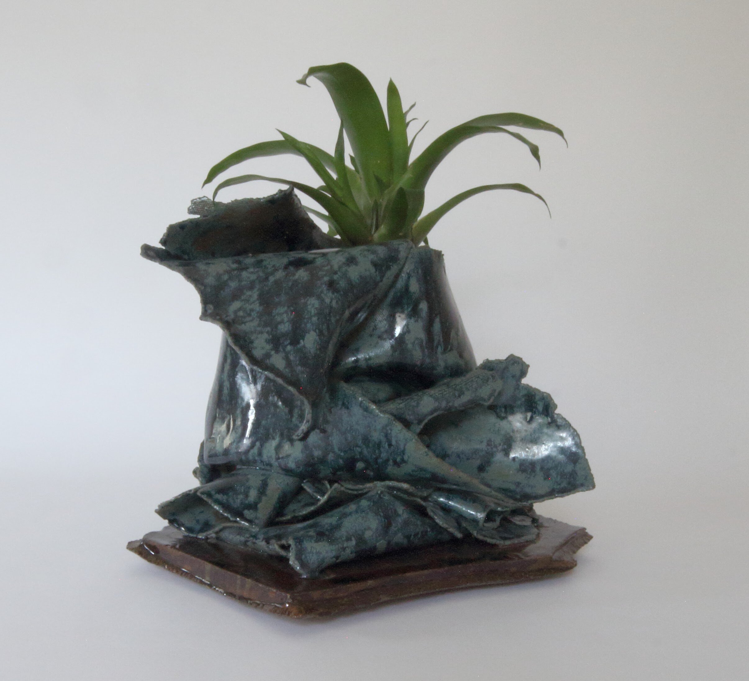 bromeliad planter00000014.jpg
