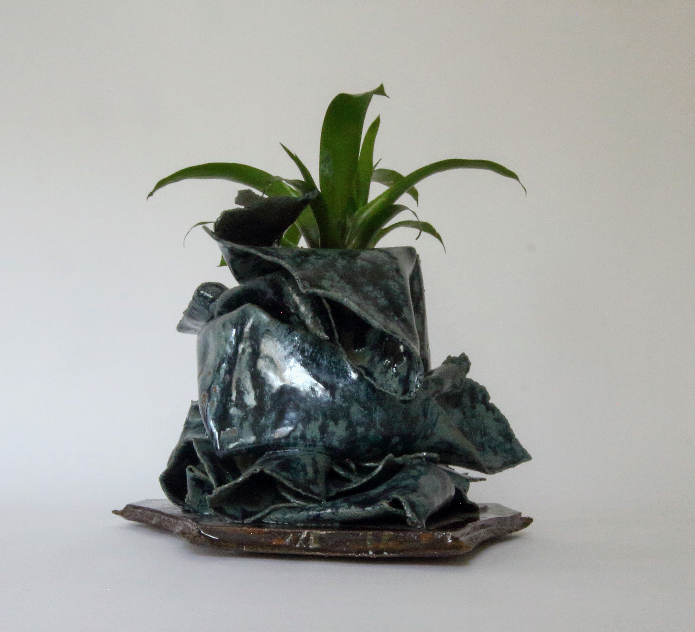 bromeliad planter00000020.jpg