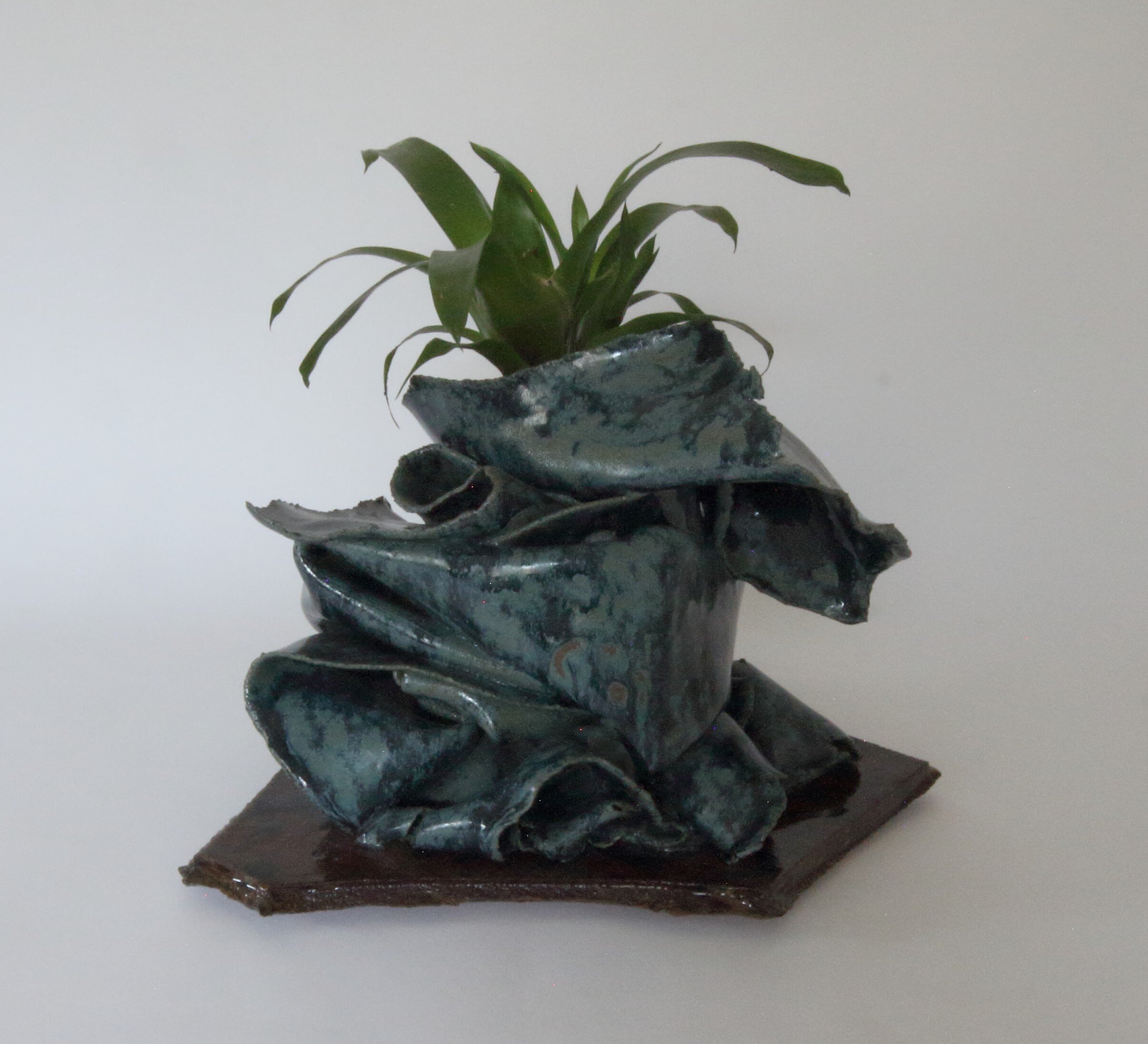 bromeliad planter00000024.jpg