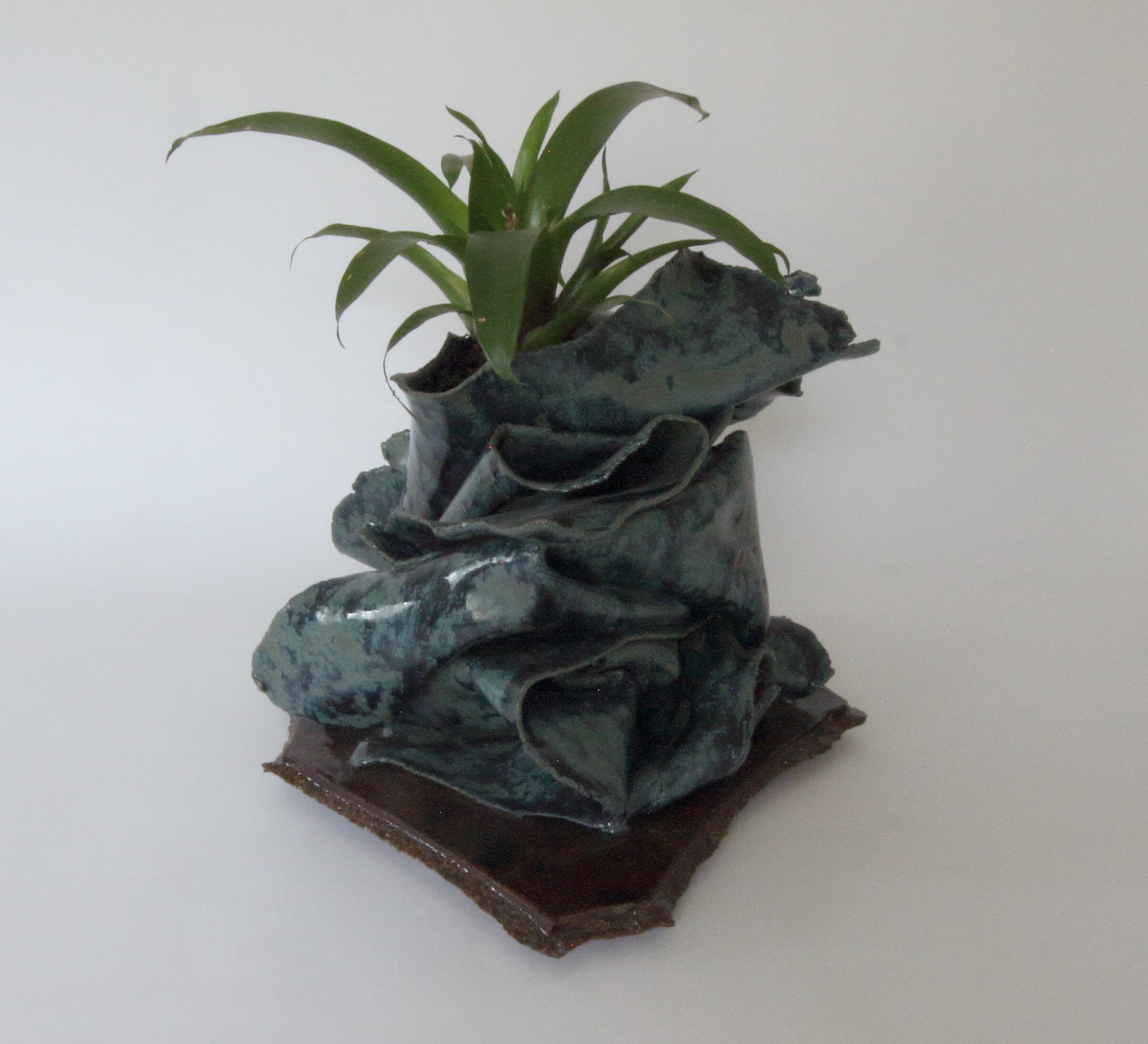 bromeliad planter00000025.jpg