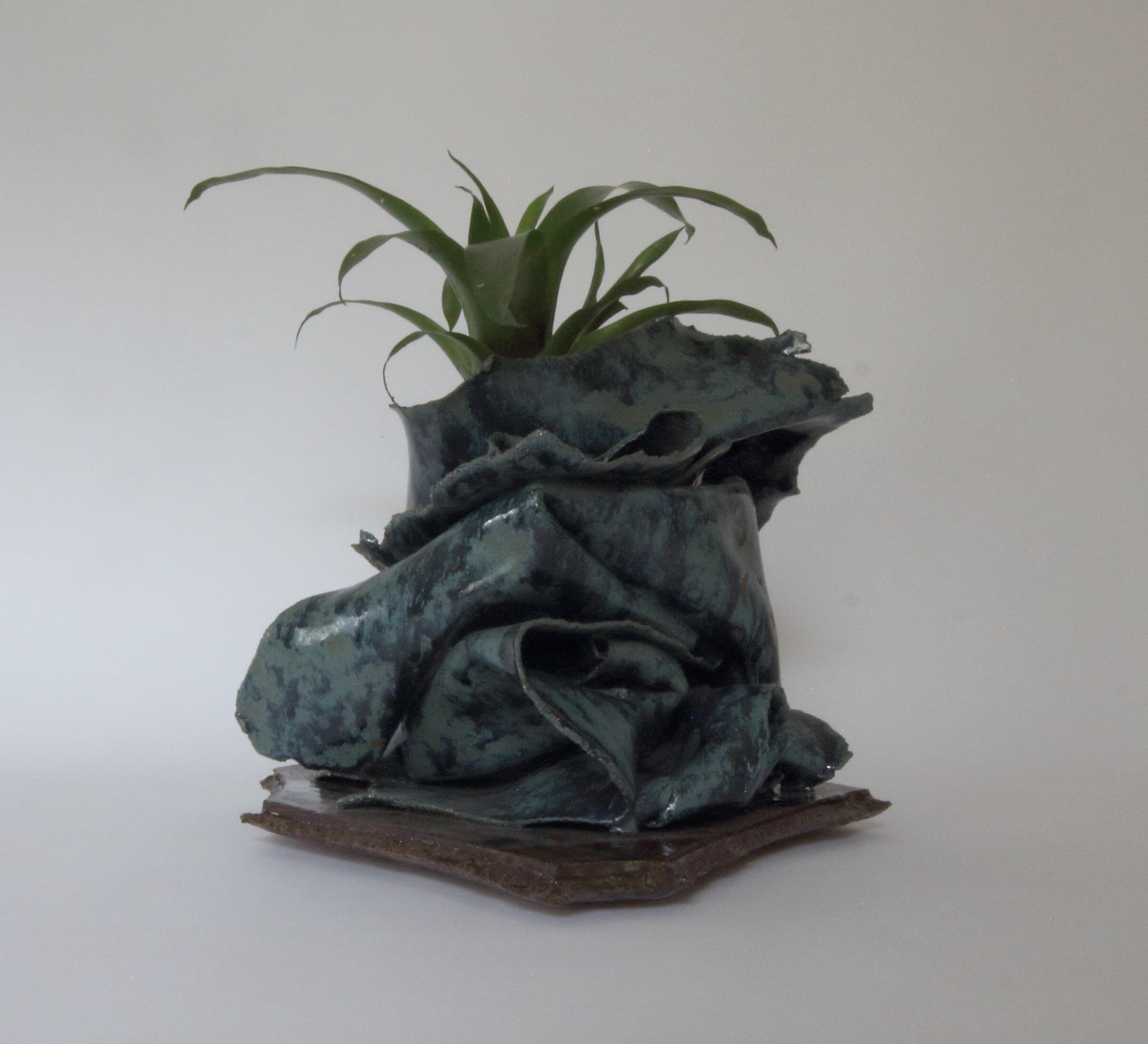 bromeliad planter00000028.jpg