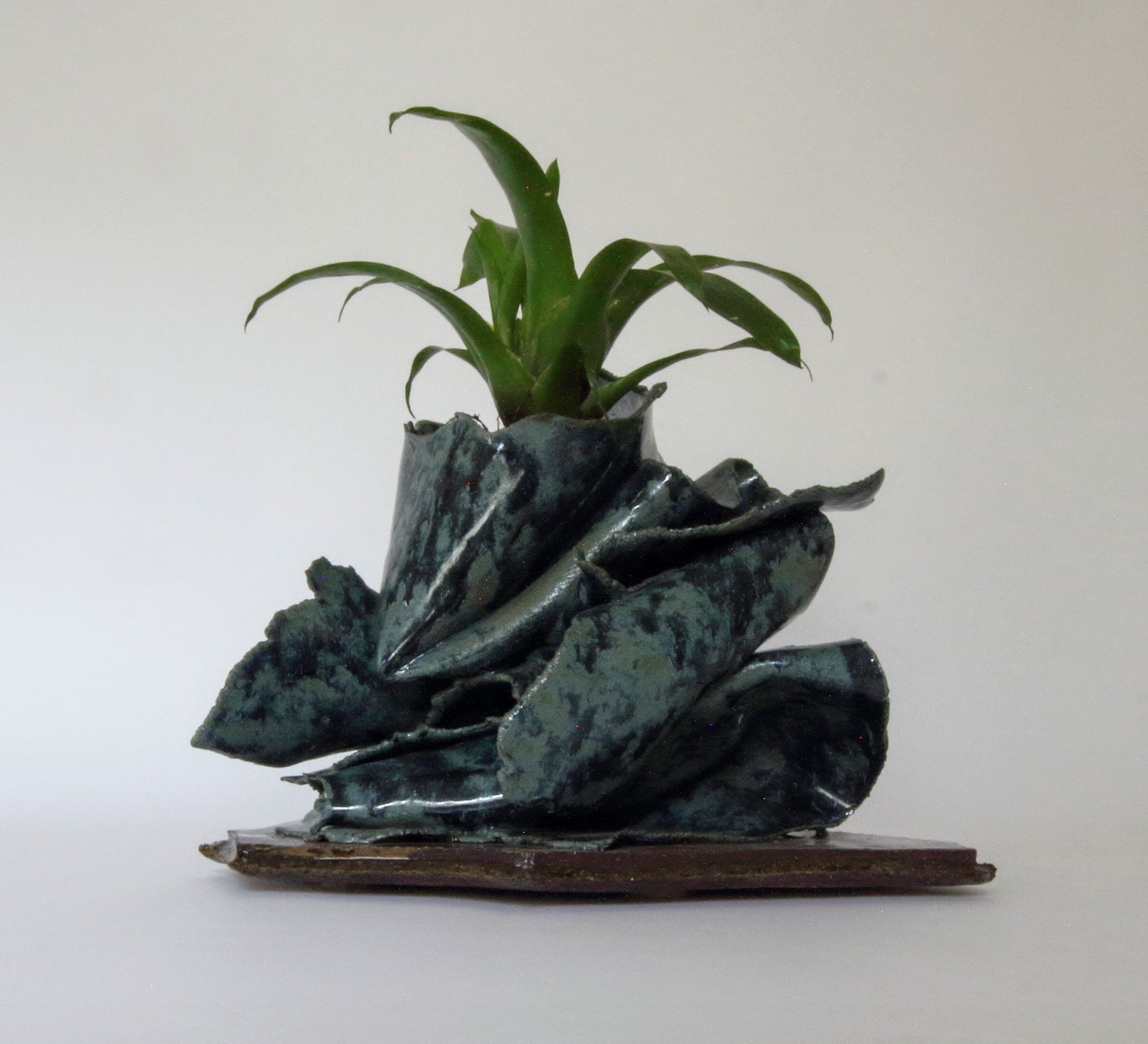 bromeliad planter00000030.jpg