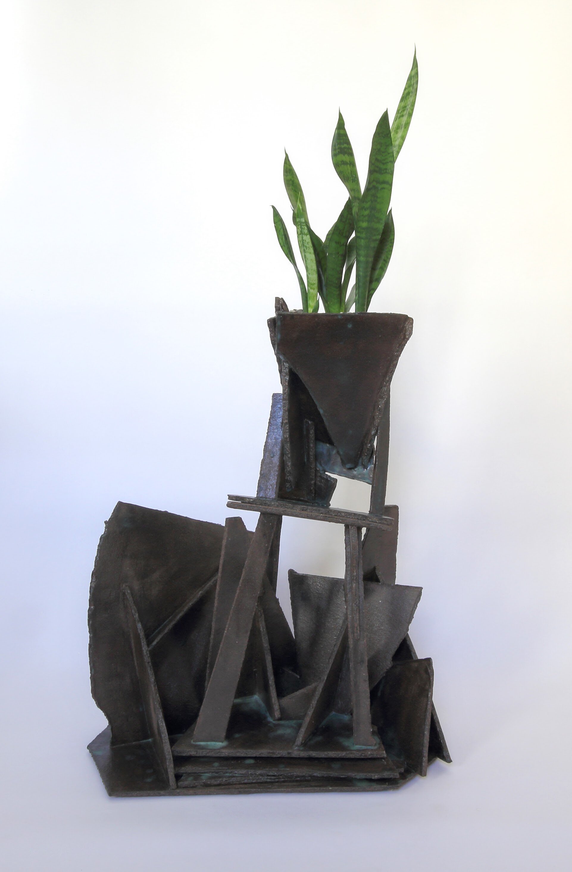 plant paramount