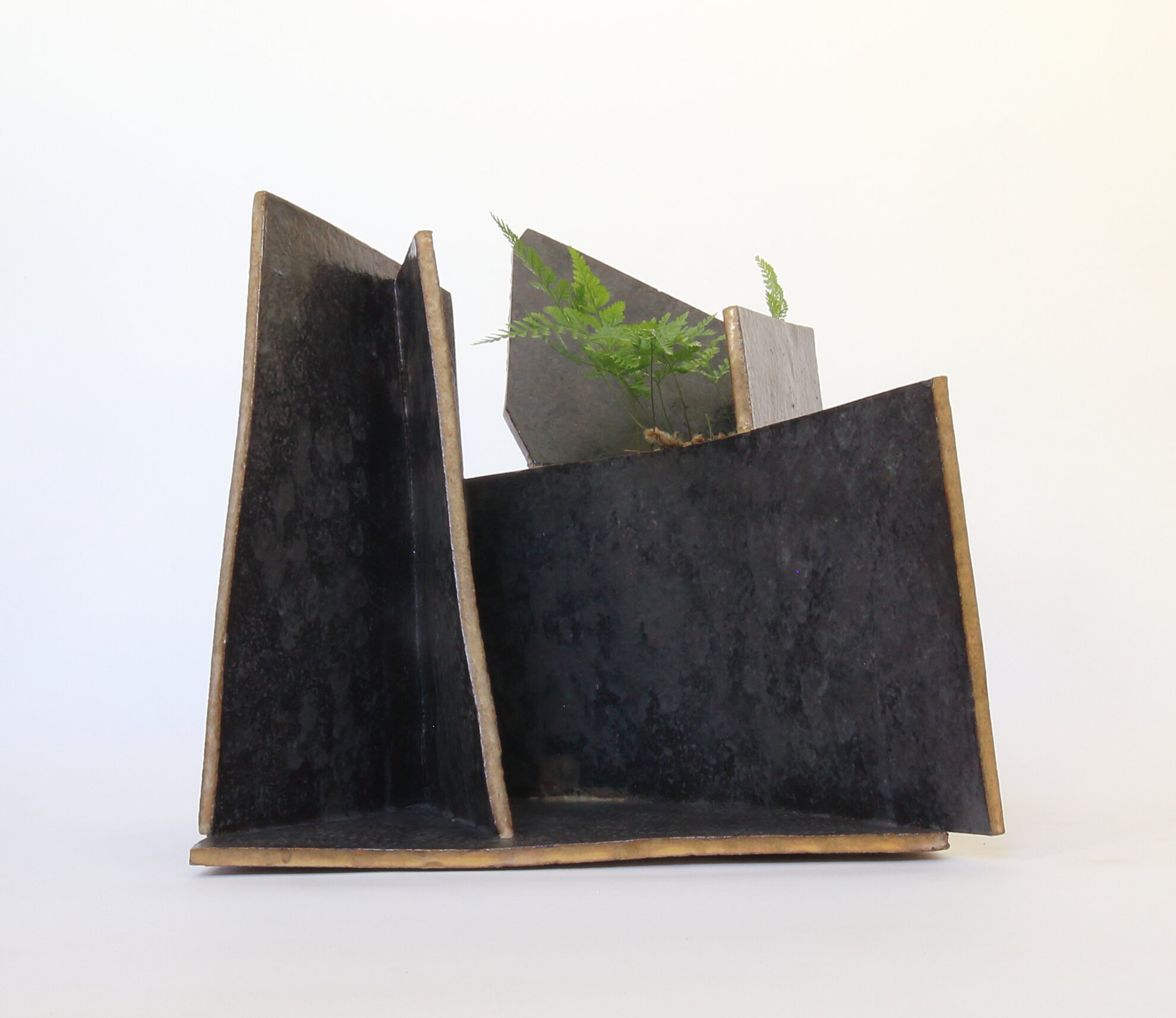 slabs with fern