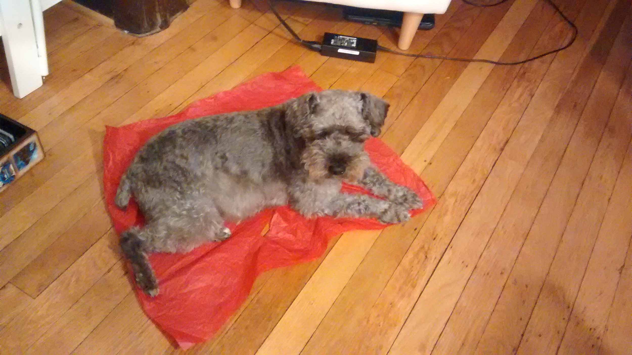 Sometimes happiness is just a crumpled piece of tissue paper...