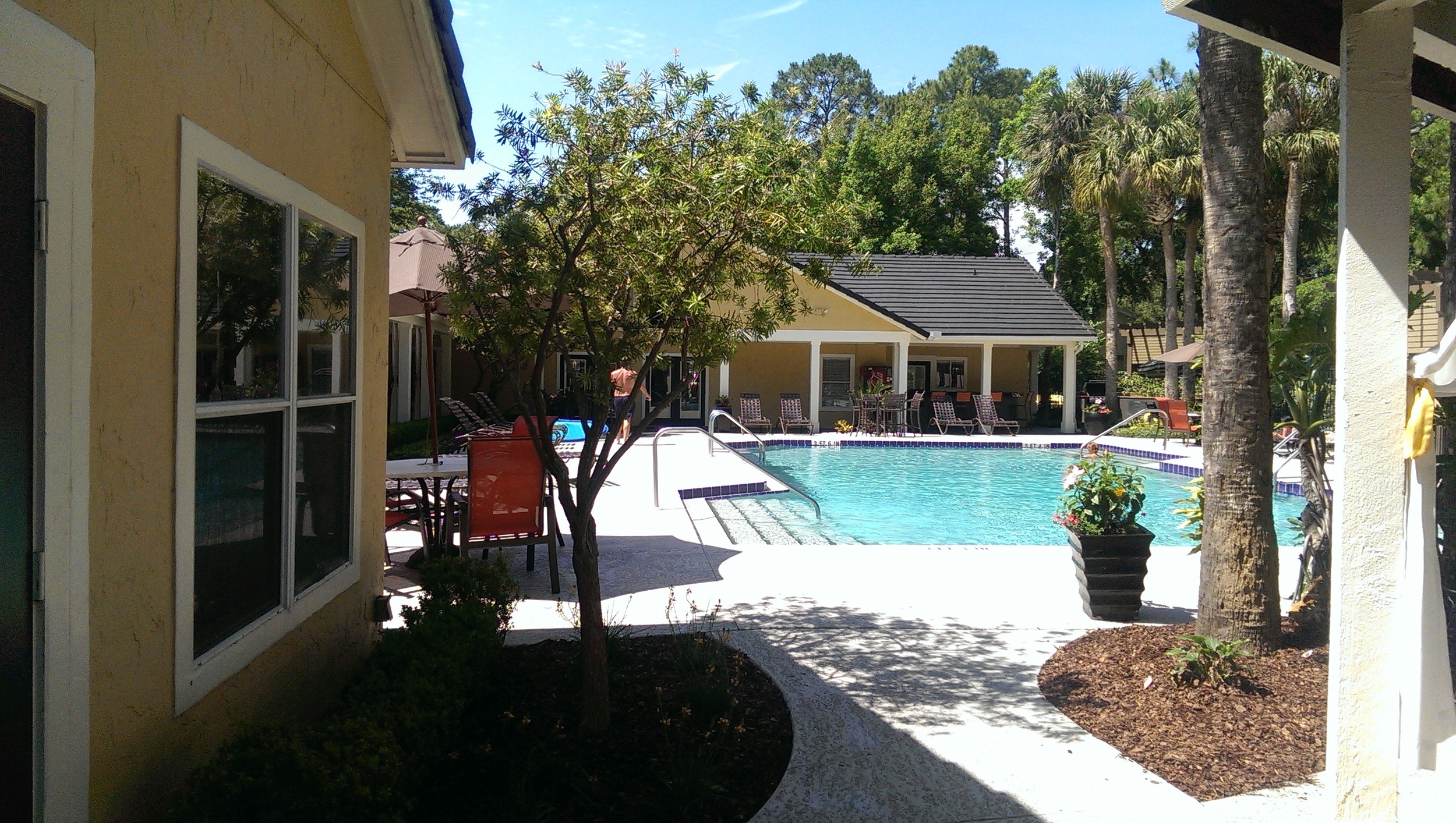 Pool1.jpg