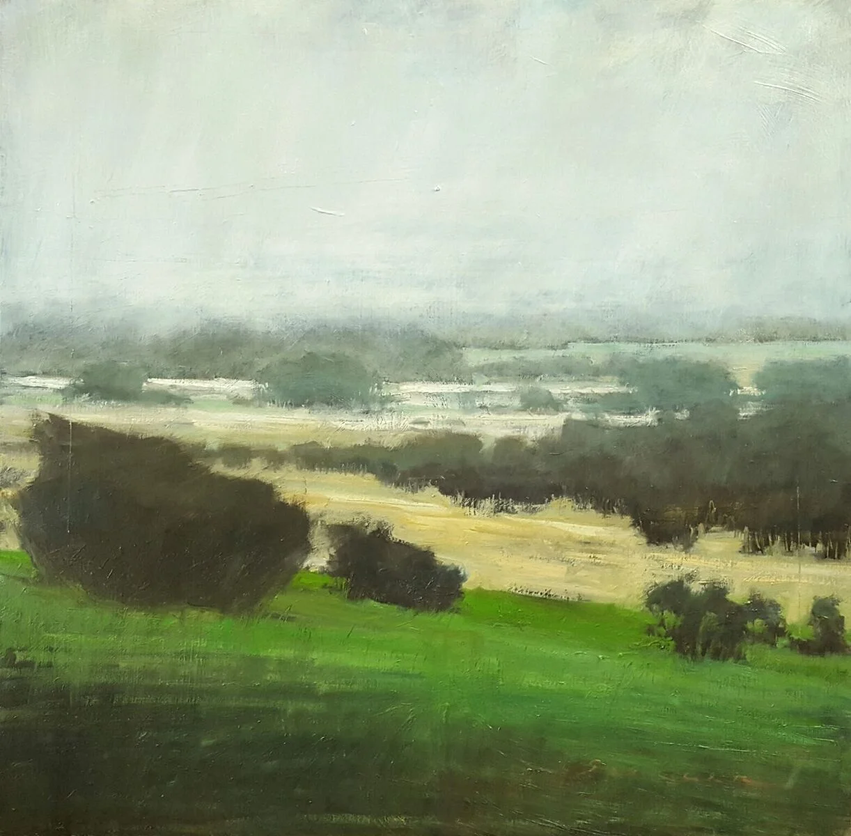 fog rolling in