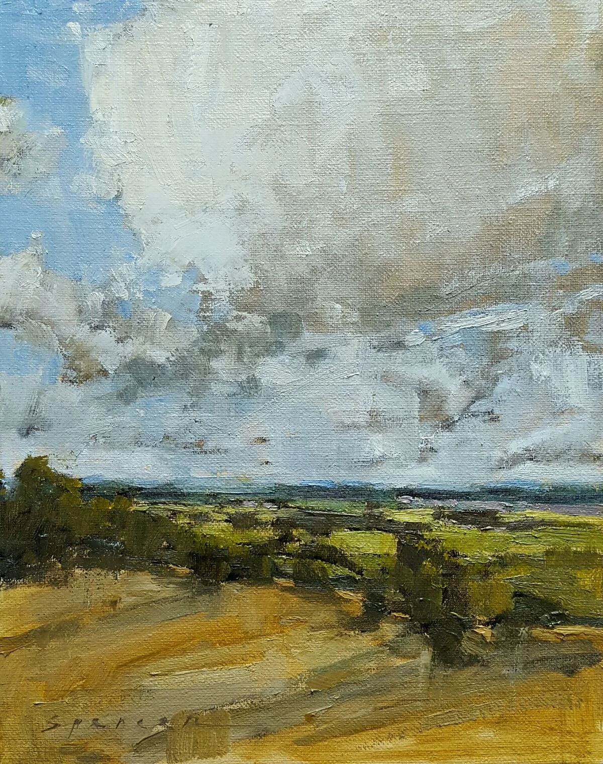 heavy skies