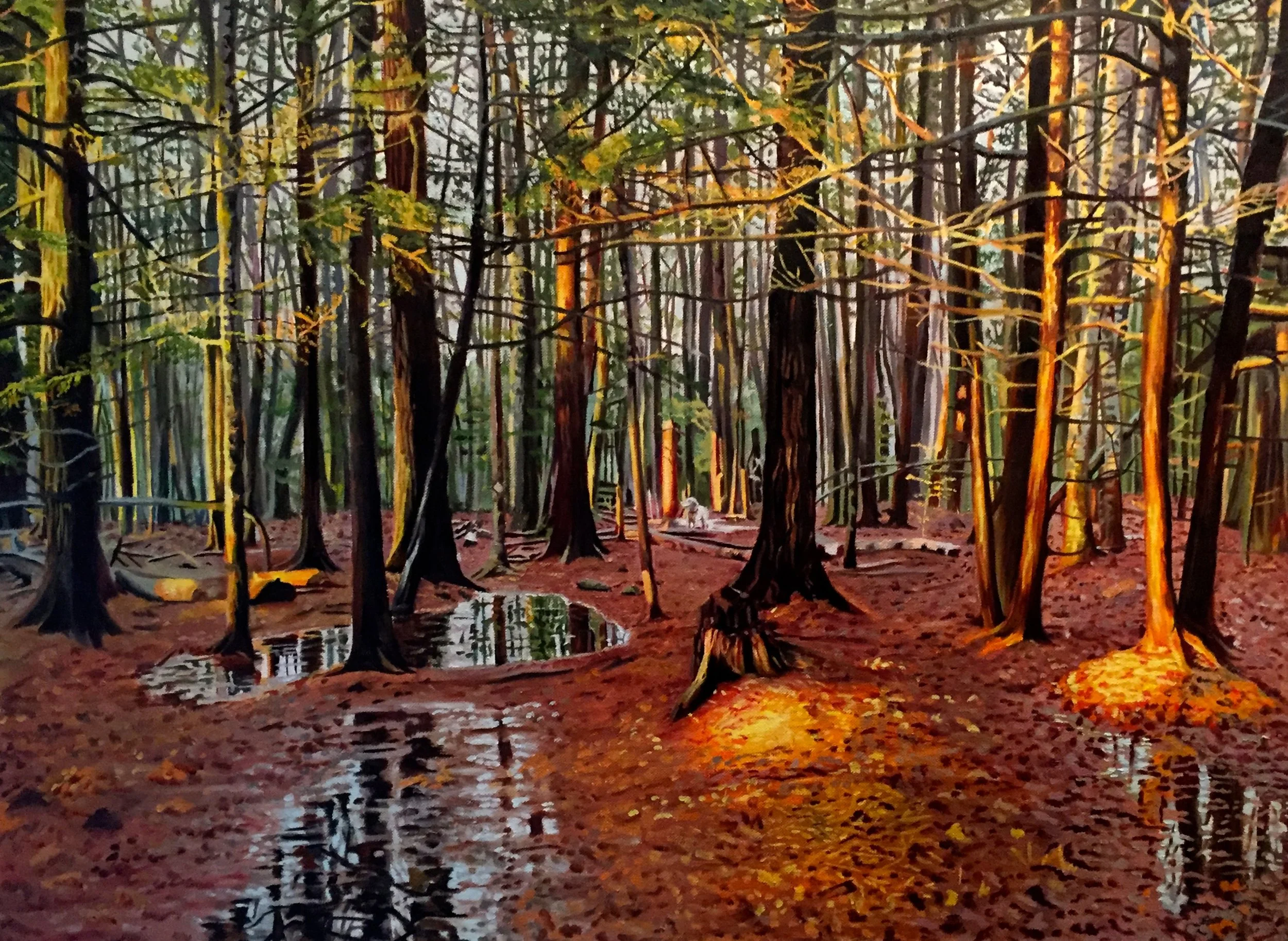 Winnick Woods, 22 by 30 inches, oil on canvas, SOLD