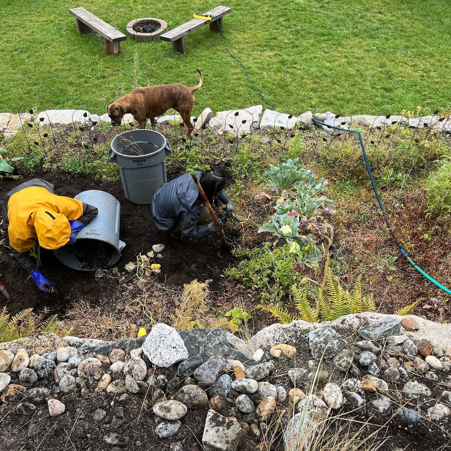 A little before and after garden clean up in action! 🪴