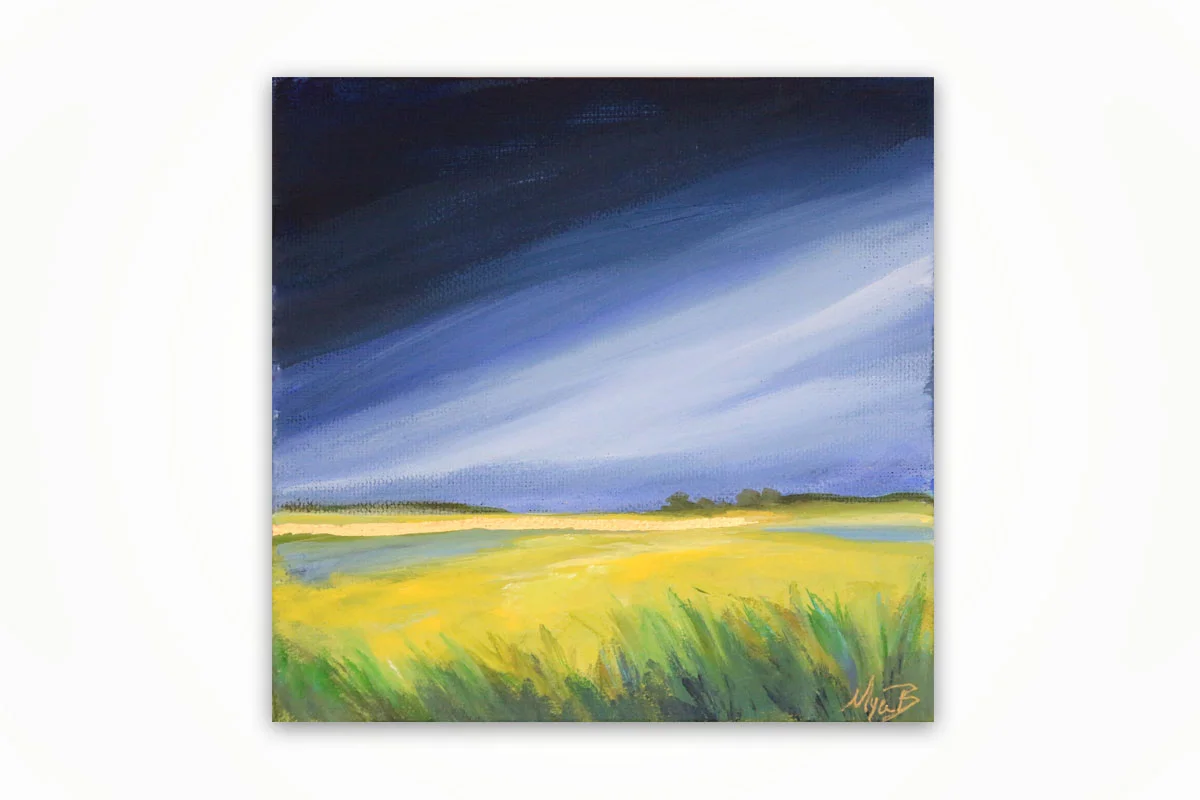 montana landscape.jpg