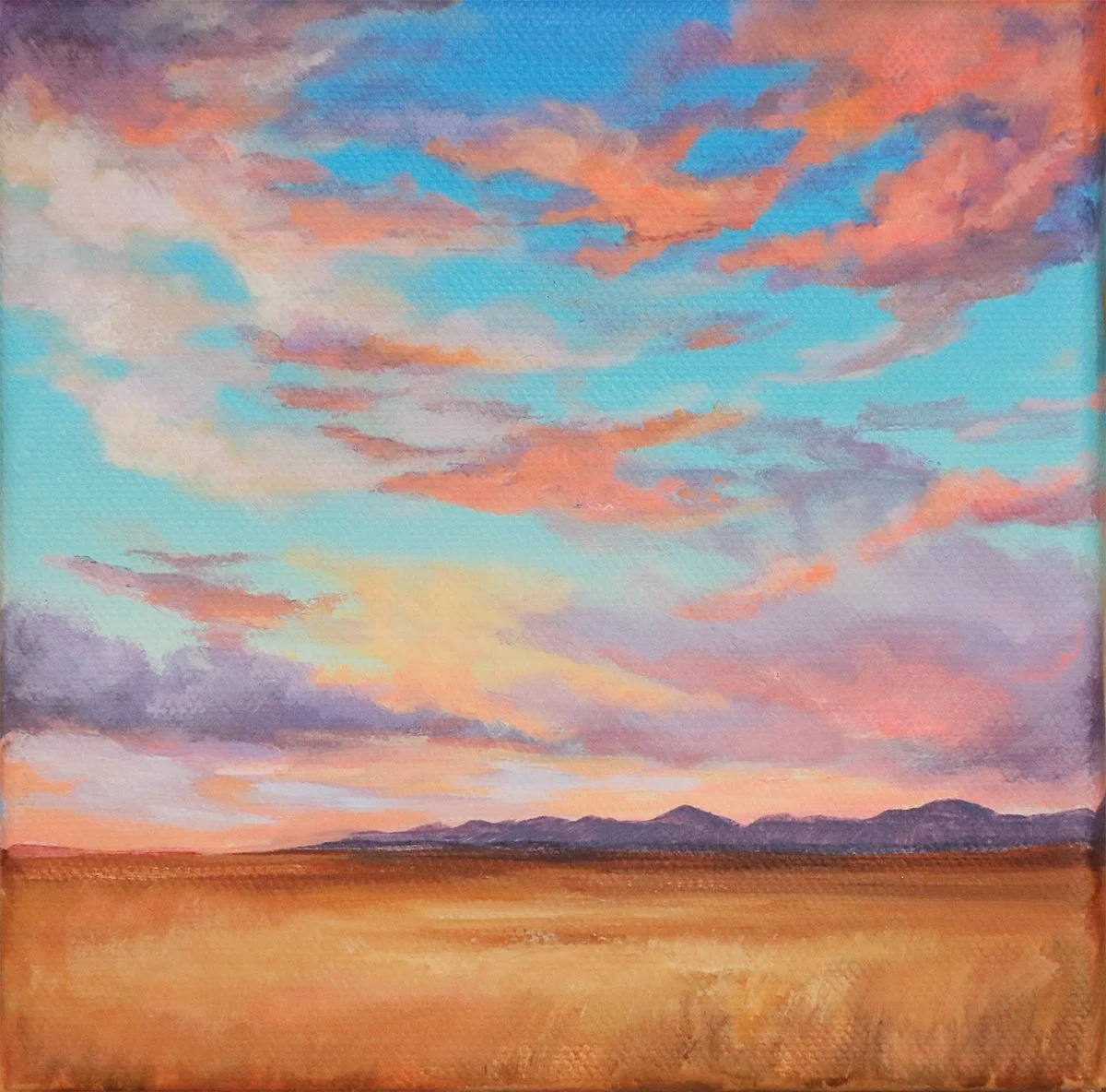 glowing prairie sunset.jpg