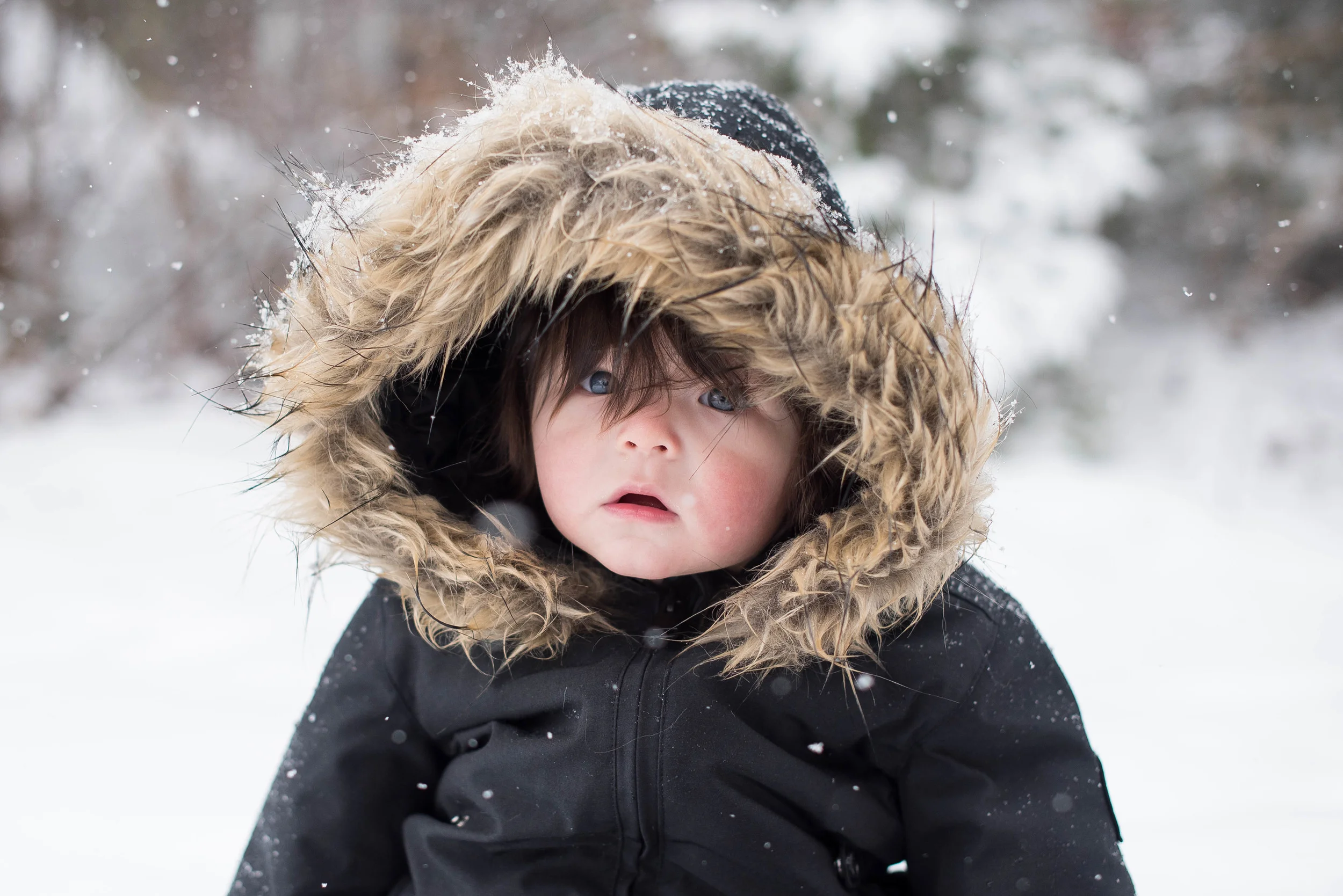 And here's their little guy, Sebastien! <3 <3 <3