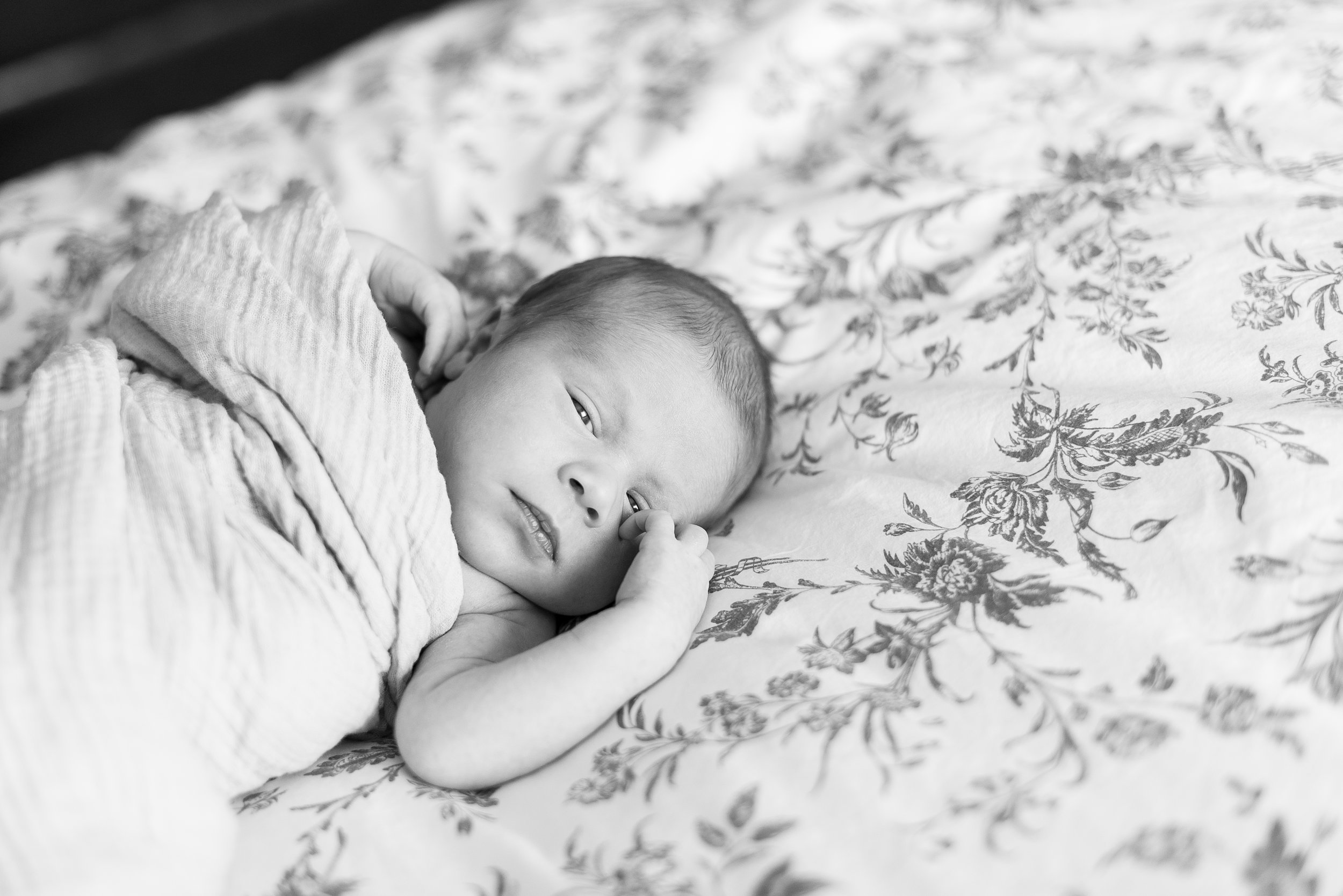 Eye contact with the camera at two weeks old. This little guy is amazing!