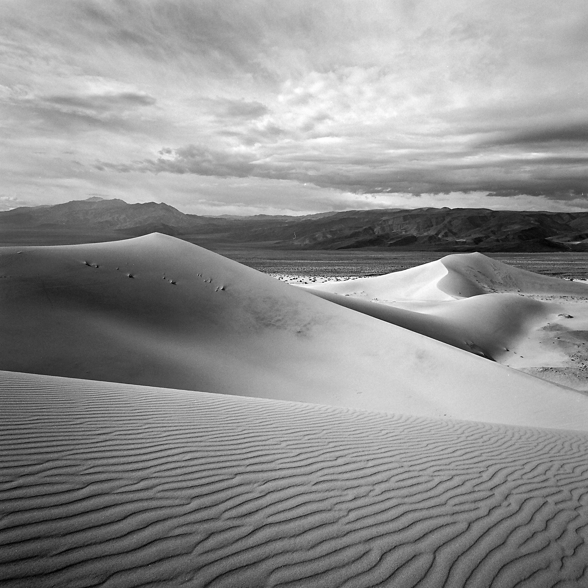 Panamint Dunes, Death Valley National Park, California © 2012. Image: Hasselblad SWC + Zeiss Biogon 1:4.5/38mm.