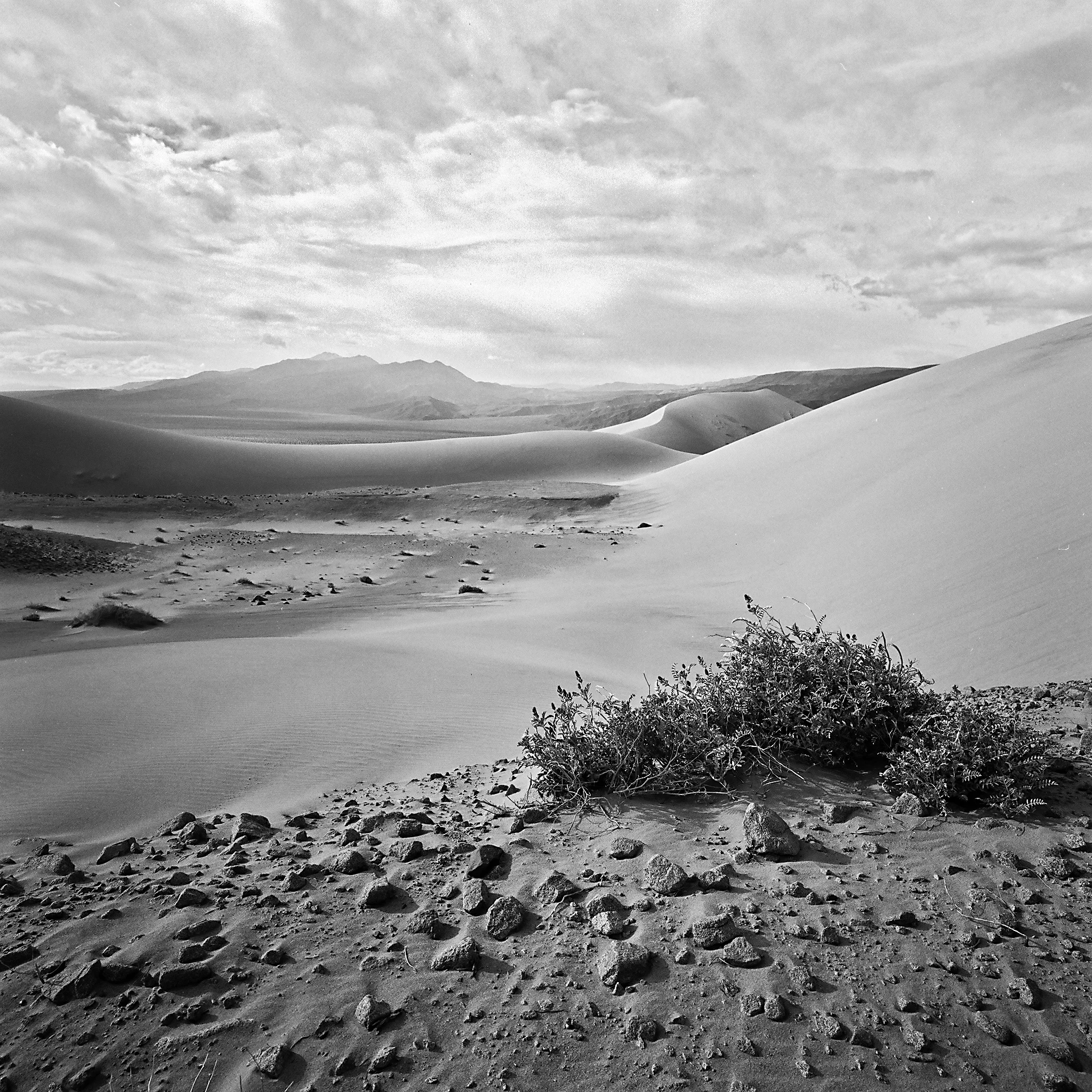 Panamint Dunes, Death Valley National Park, California © 2012. Image: Hasselblad SWC + Zeiss Biogon 1:4.5/38mm.