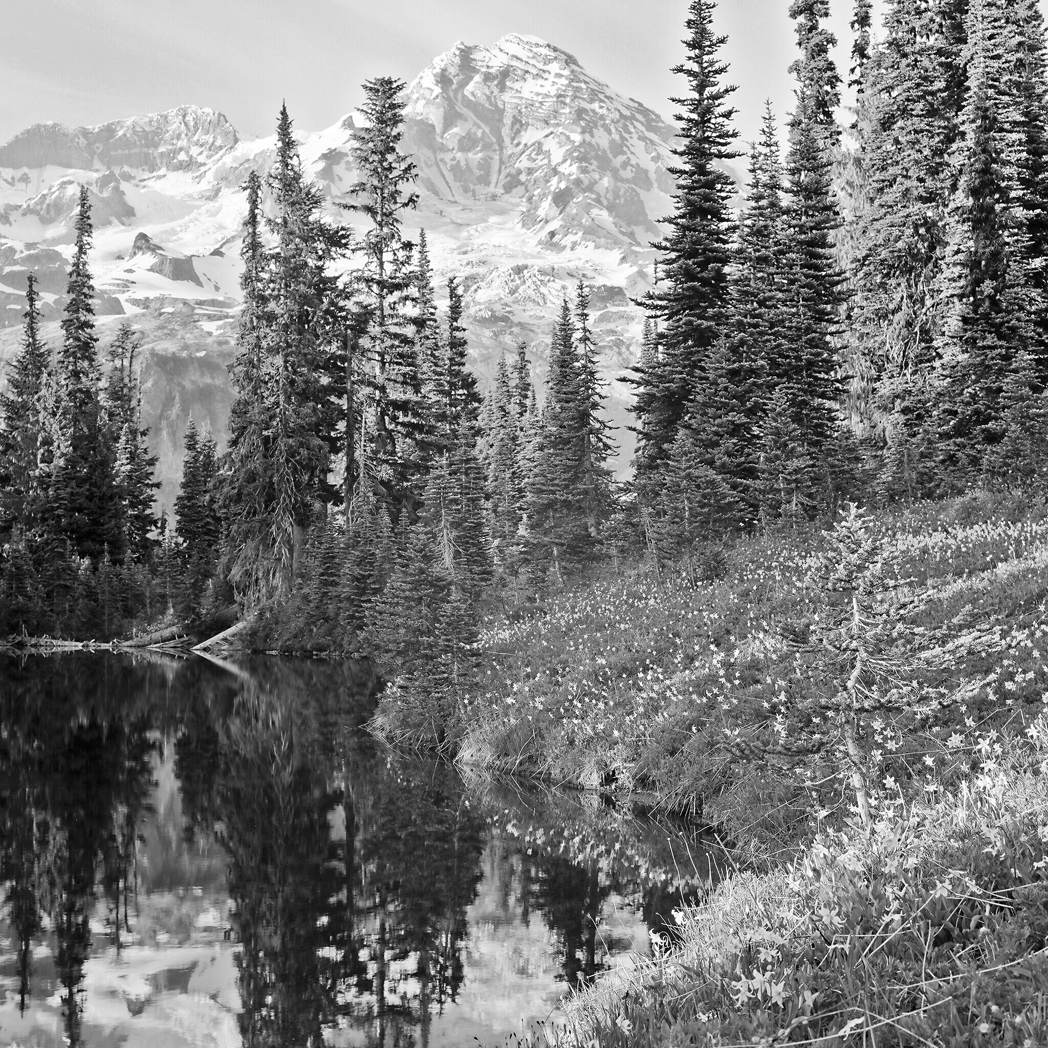  Mirror Lake, Mt. Rainier National Park, Washington © 2015.  Image: Rolleiflex 2.8 F + Zeiss Planar 1:2.8/80mm. 