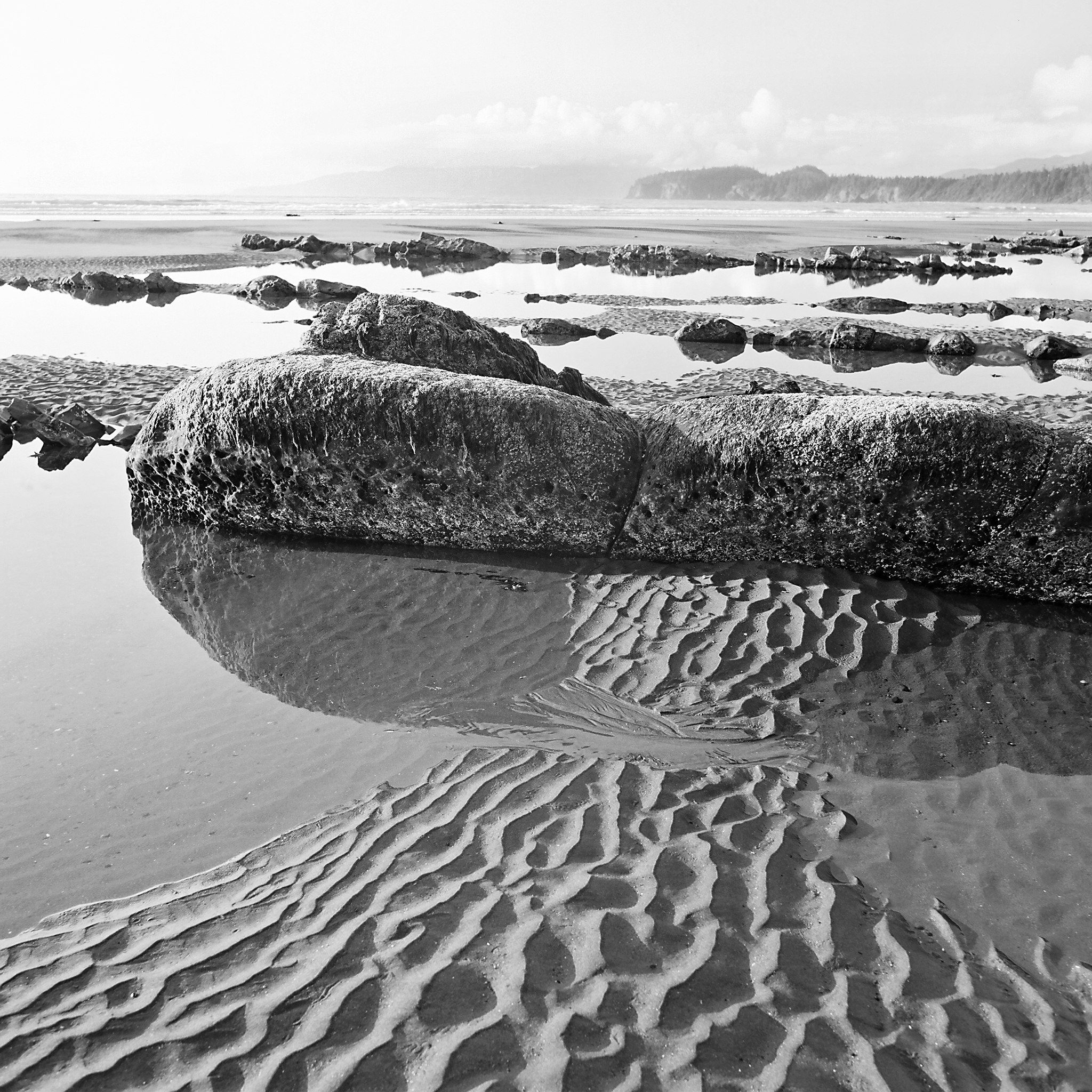  Shi Shi Beach, Olympic National Park, Washington © 2009.  Image: Hasselblad 500 C/M + Zeiss Distagon CF T* 1:4/50mm. 