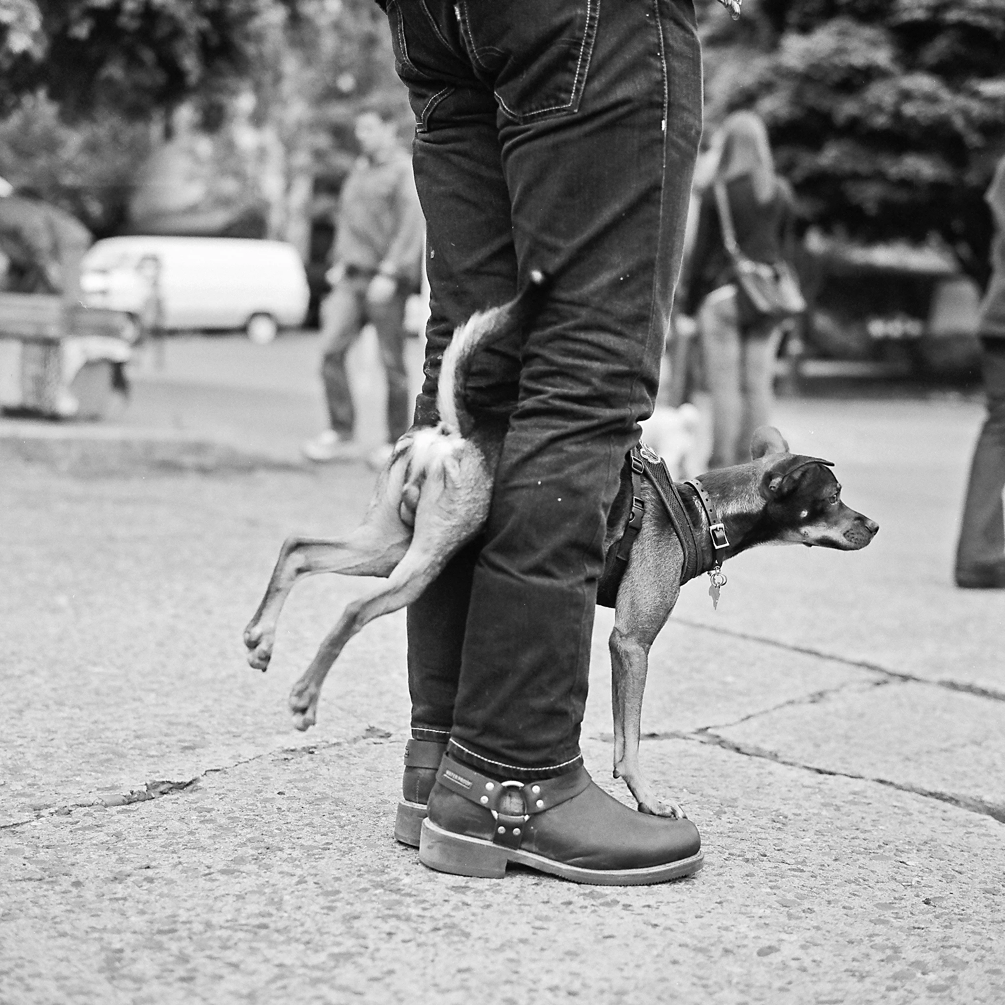 Seattle, Washington © 2011. Image: Rolleiflex 2.8 E2 + Zeiss Planar 1:2.8/80mm.