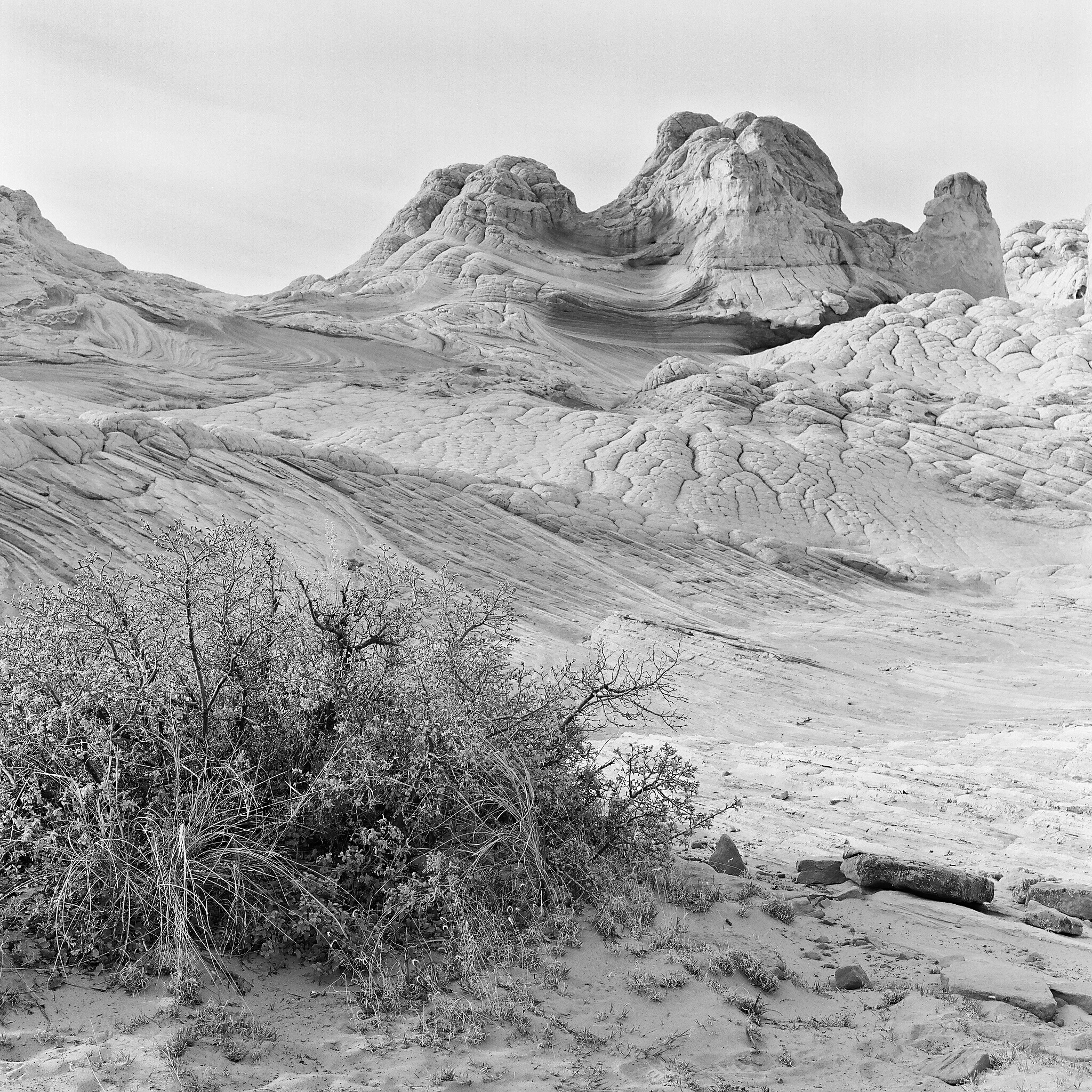  Vermillion Cliffs National Monument, Arizona © 2016.  Image: Rolleiflex 2.8 F + Zeiss Planar 1:2.8/80mm. 