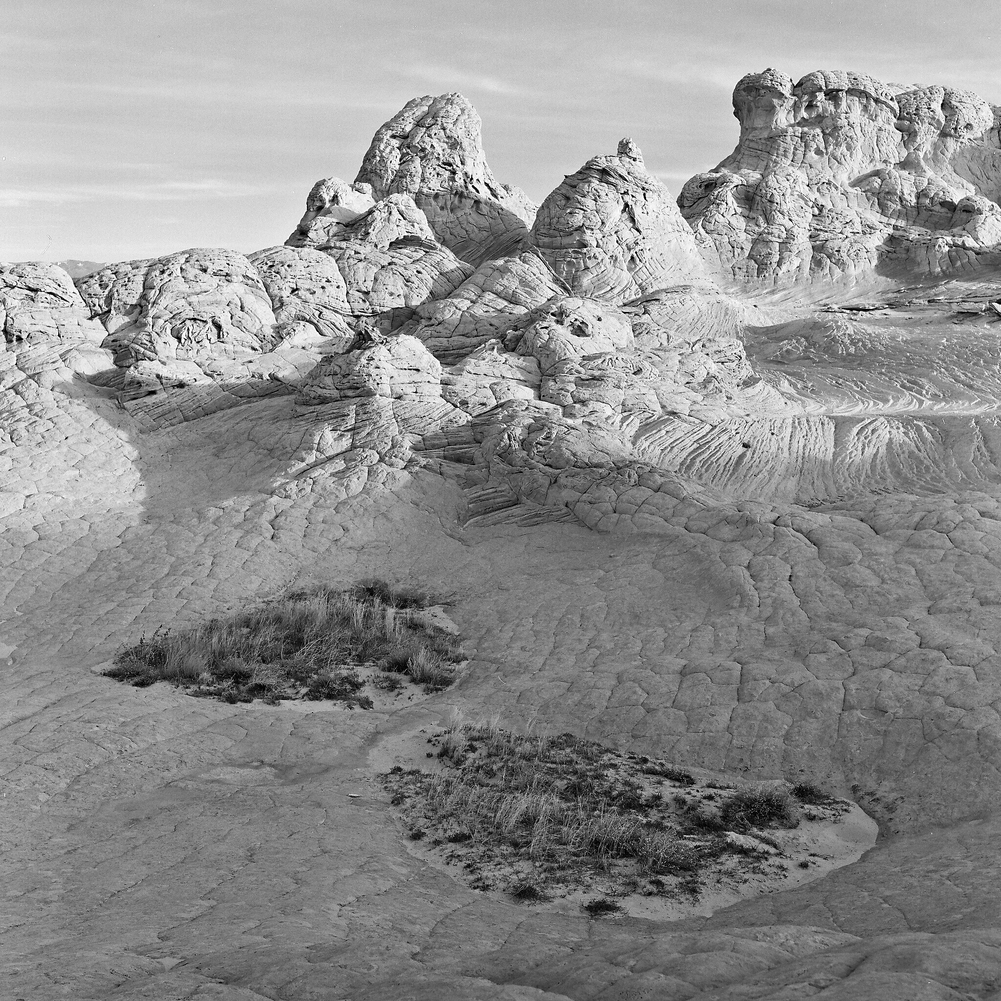  Vermillion Cliffs National Monument, Arizona © 2016.  Image: Rolleiflex 2.8 F + Zeiss Planar 1:2.8/80mm. 