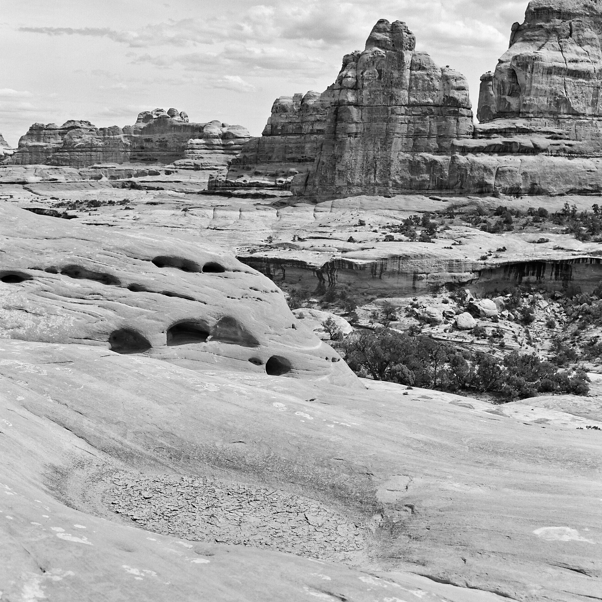 Canyonlands National Park, Utah © 2016. Image: Rolleiflex 2.8 F + Zeiss Planar 1:2.8/80mm.