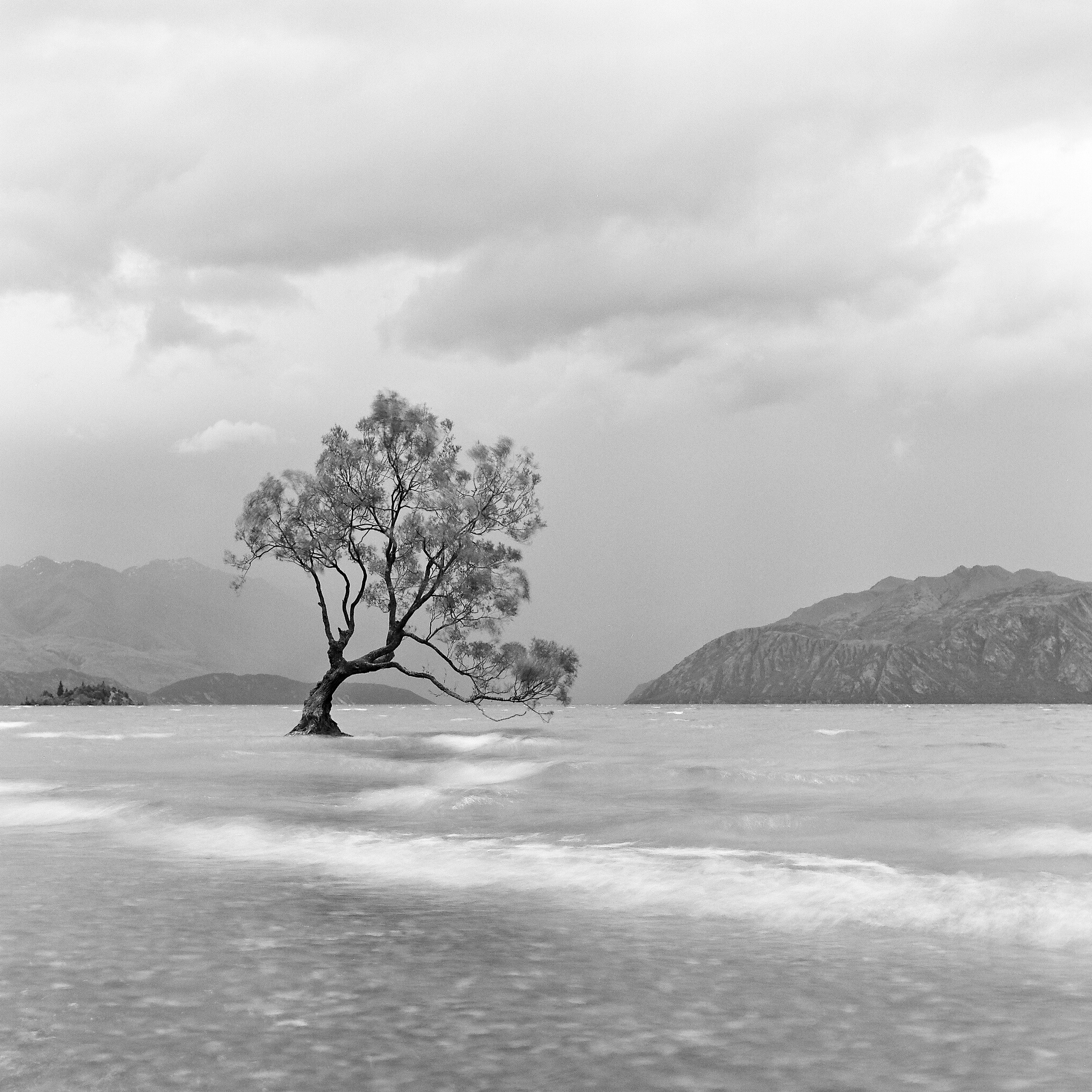  Wanaka, Otago, New Zealand © 2017.  Image: Rolleiflex 2.8 F + Zeiss Planar 1:2.8/80mm. 