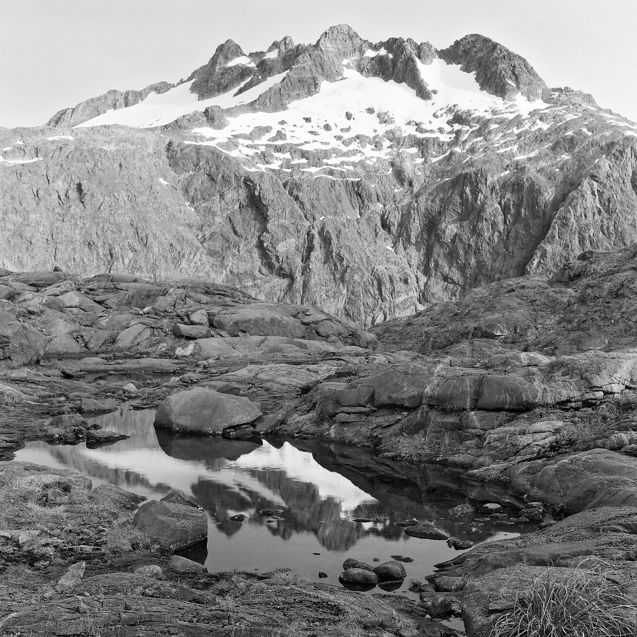  Fiordland National Park, New Zealand © 2017.  Image: Rolleiflex 2.8 F + Zeiss Planar 1:2.8/80mm. 