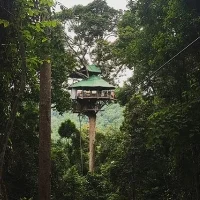 Treehouse at the Gibbon Experience.jpg
