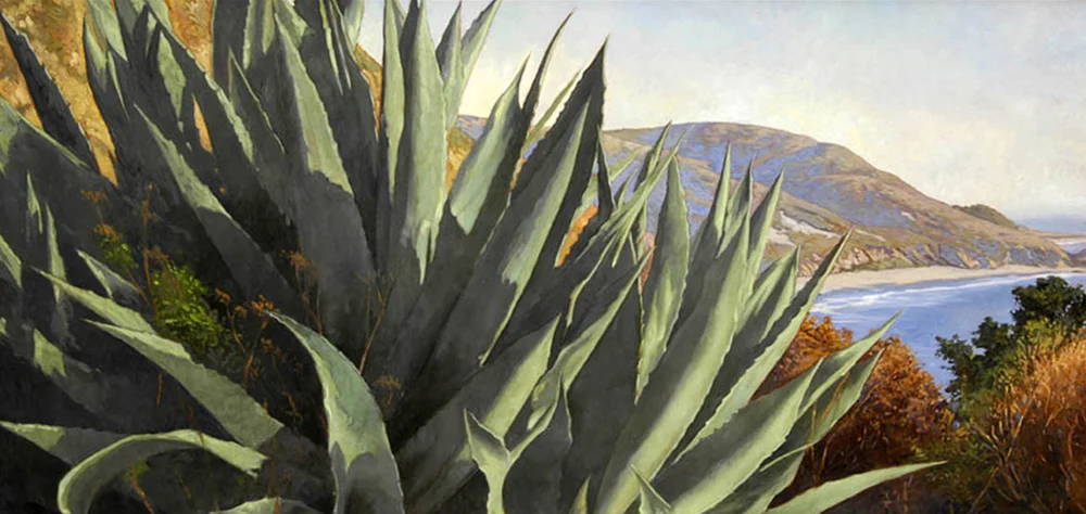 Big Sur Agaves, 18 x 36, oil on canvas, sold.