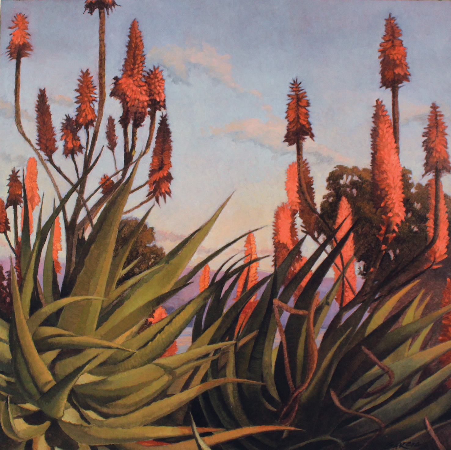 Aloe Dreamscape, 16x16, oil on board. sold