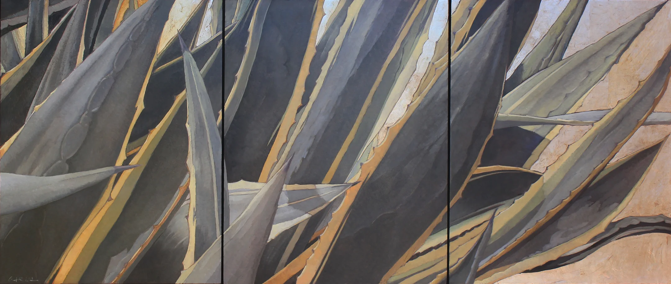 Variegated Agave (triptych) 14x33 oil on board with silver leaf, available at Waterhouse Gallery