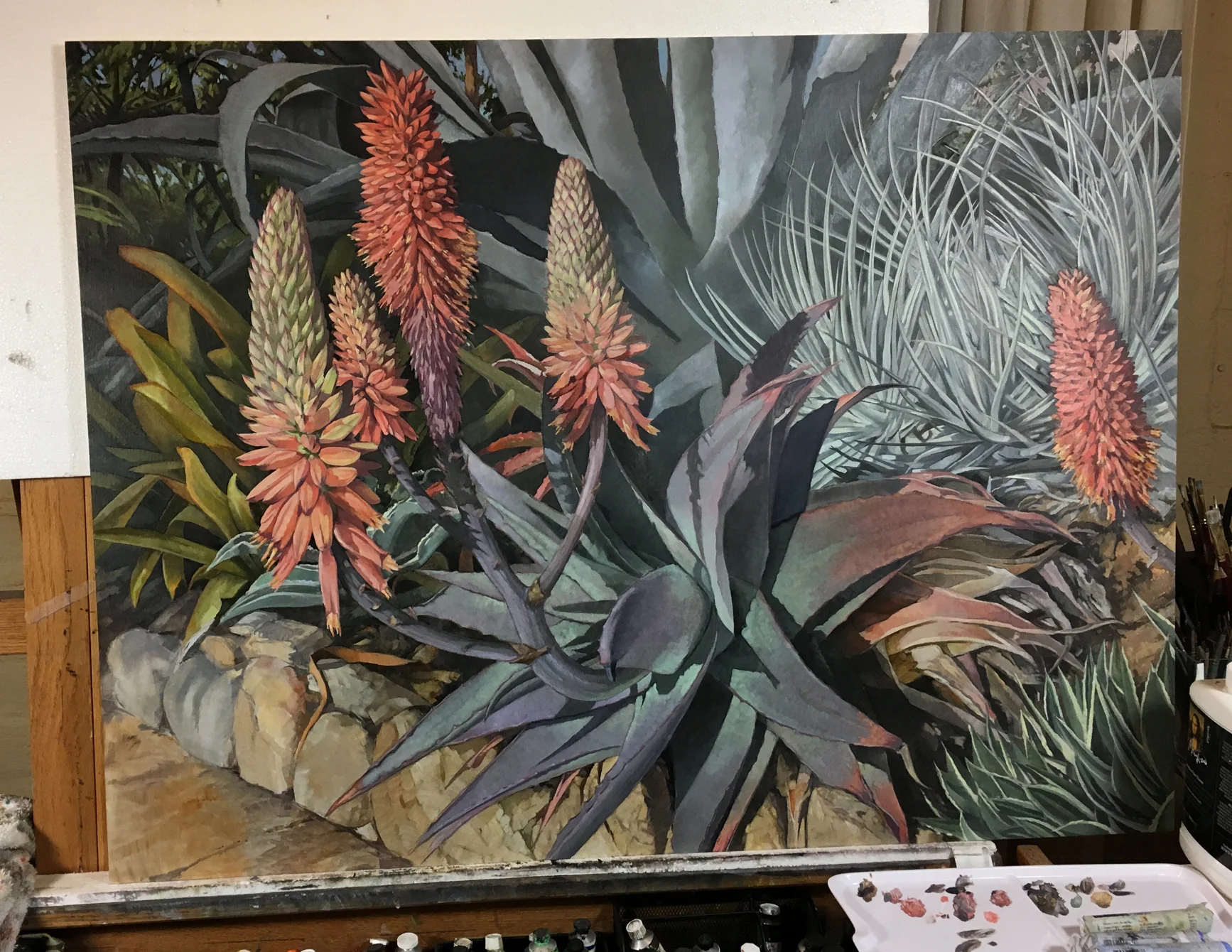 Aloes in Wonderland 30x40 oil on linen, commission