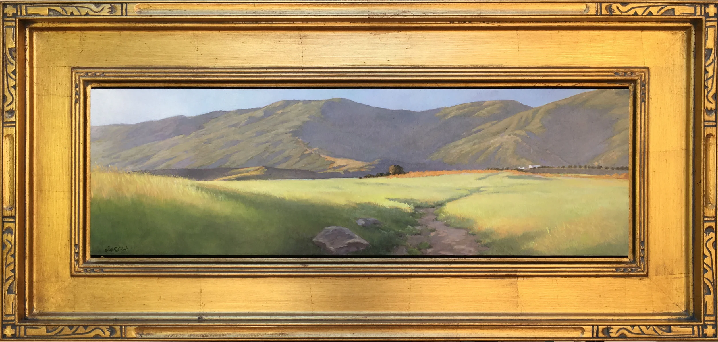 Mustard Glow at the San Marcos Foothills 7.5x23, Available at Artist's Studio
