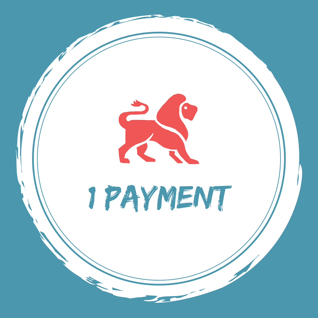 1 payment.png