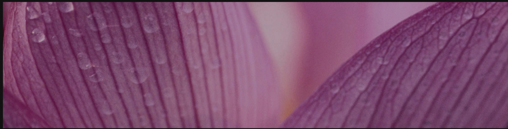 Screen Shot 2018-09-12 at 11.09.08 AM.png