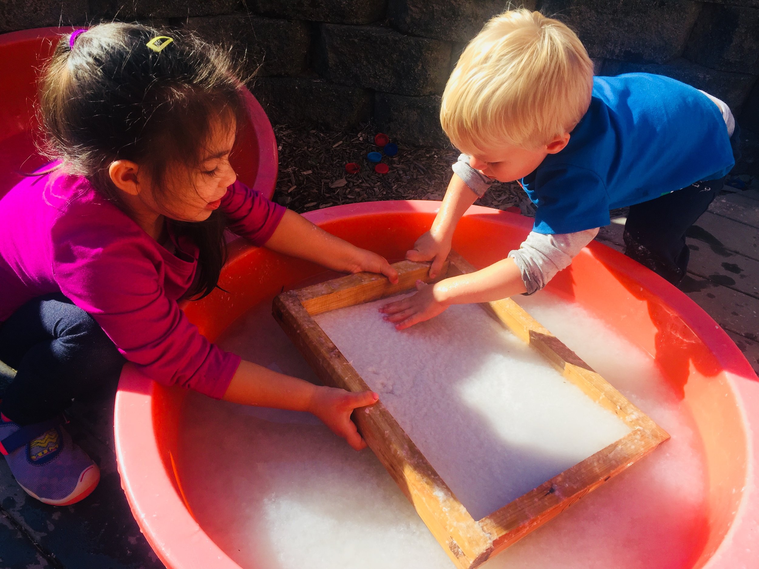 Quaker Education Bellevue Seattle Mandarin Immersion Bellevue