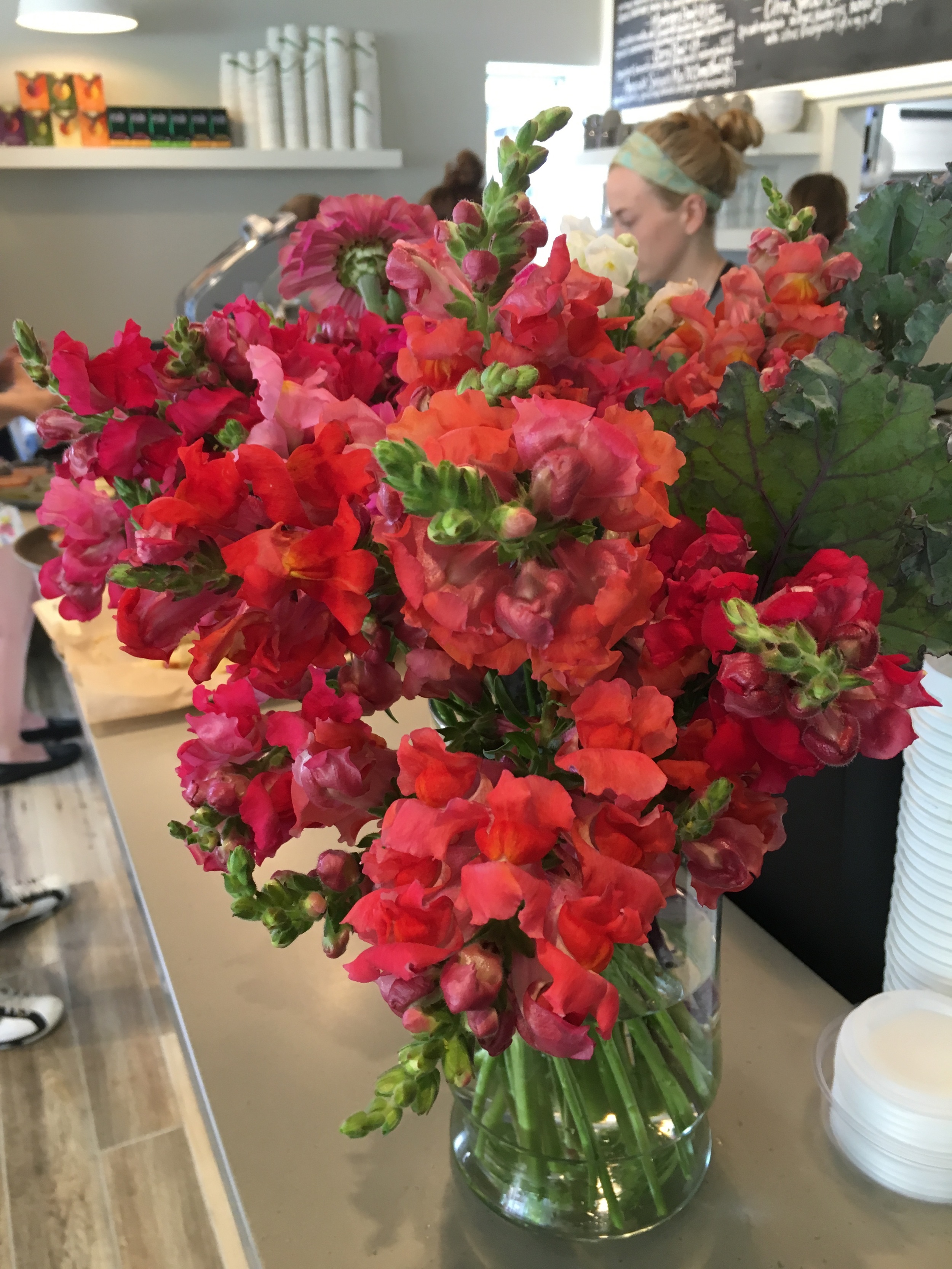Beautiful flowers from Happy Hallow. See the kale in there?
