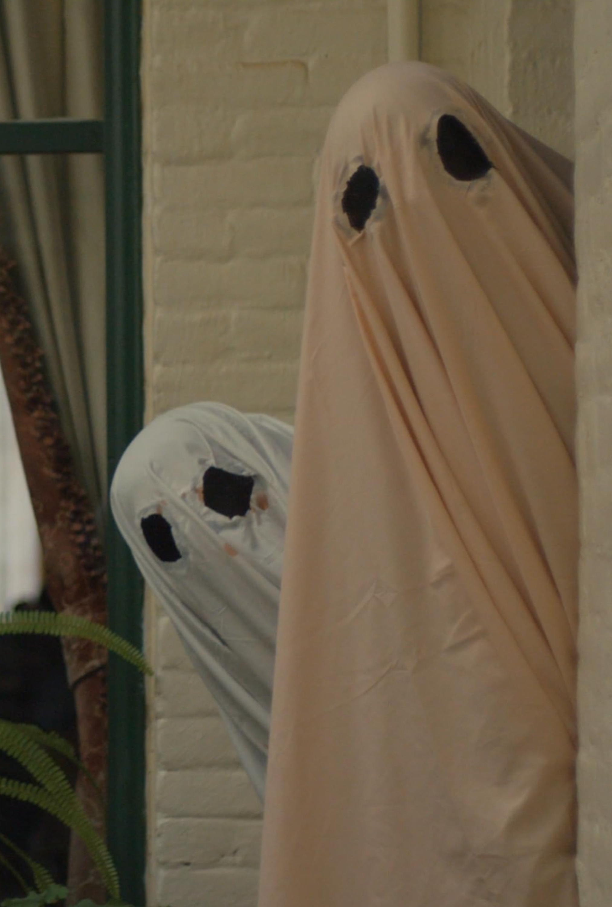 Colony Collapse - Dead Cellar (2022)