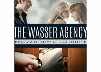 PRIVATE INVESTIGATOR OJUS