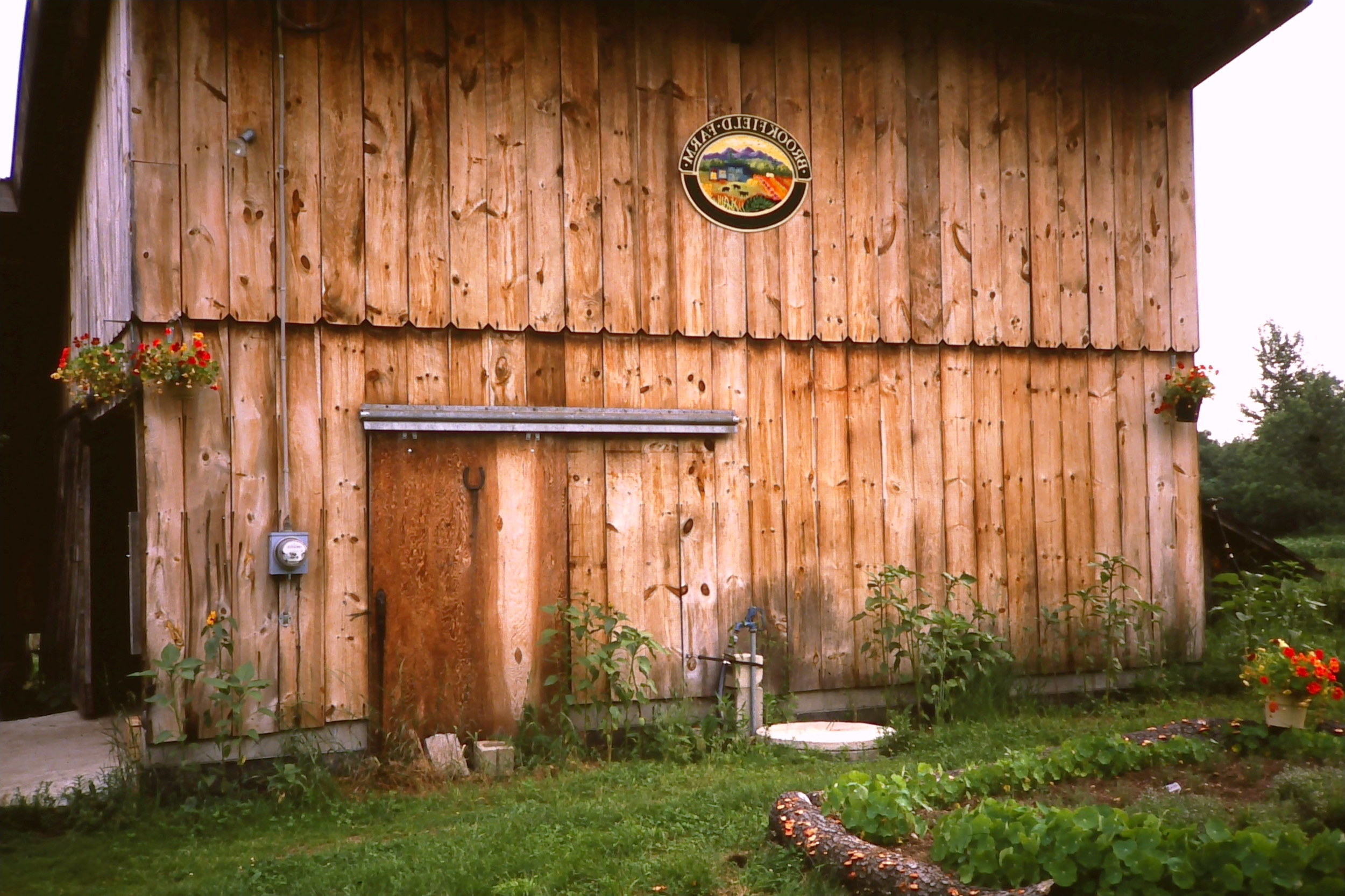 front of old barn.JPG