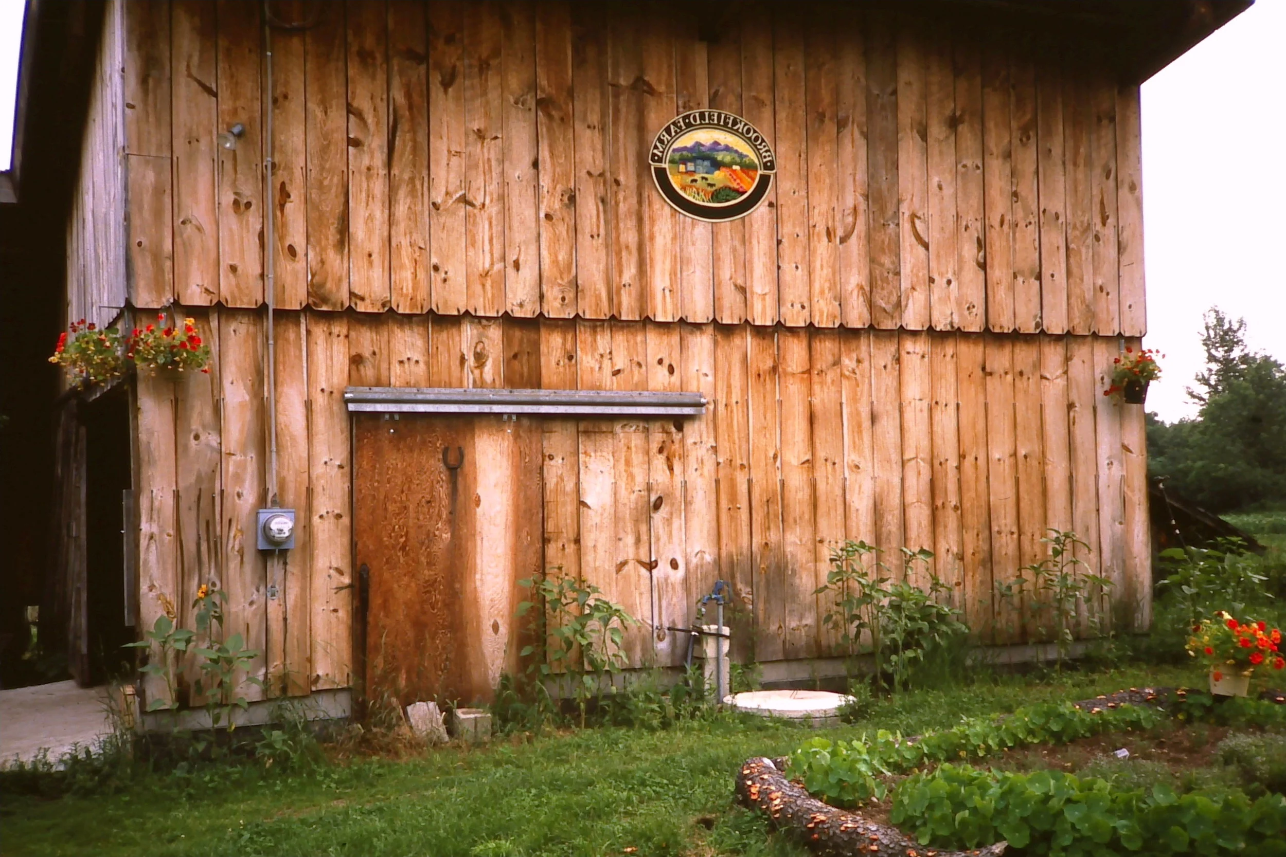 front of old barn.JPG