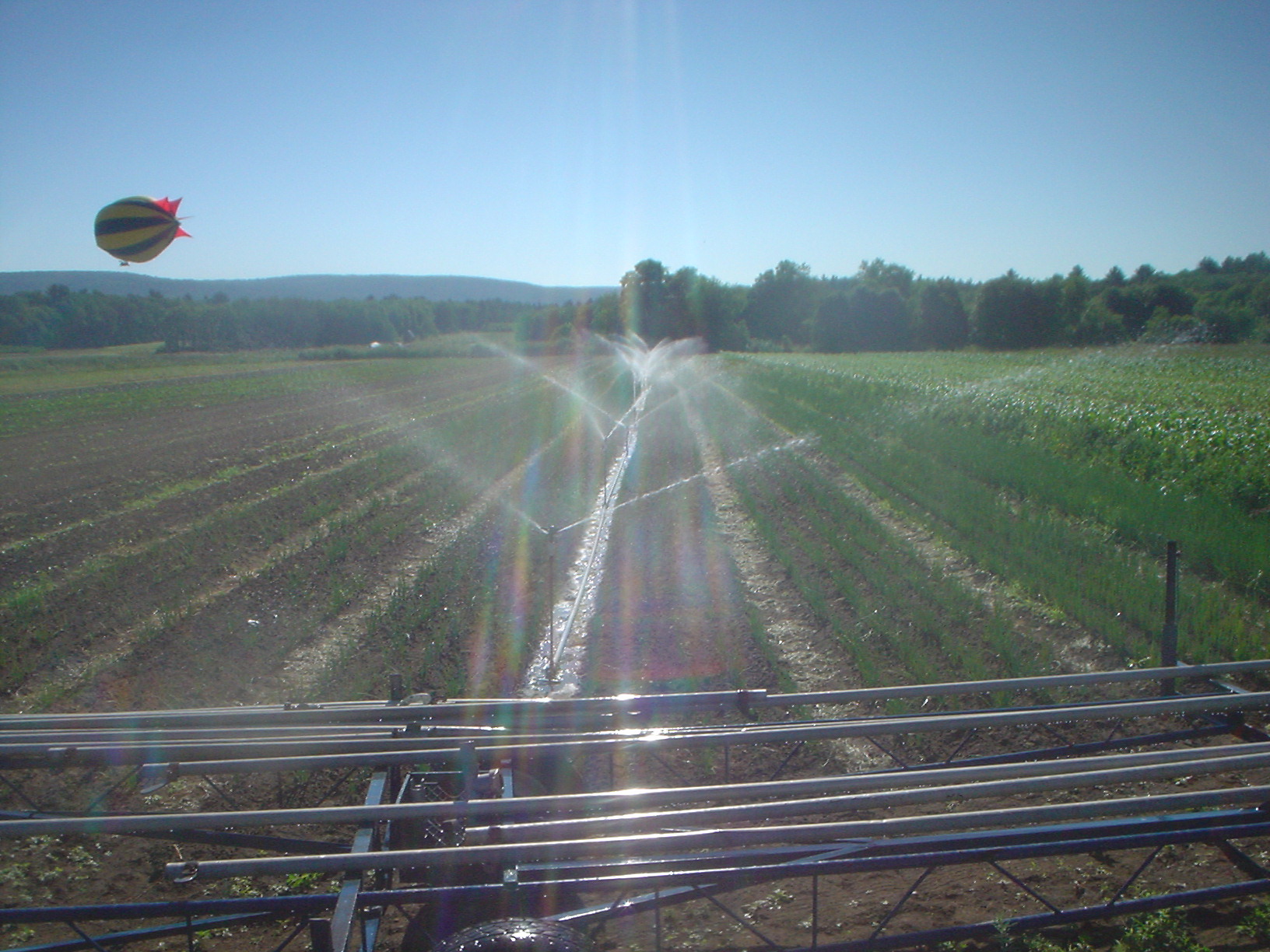 irrigation and blimp.jpg