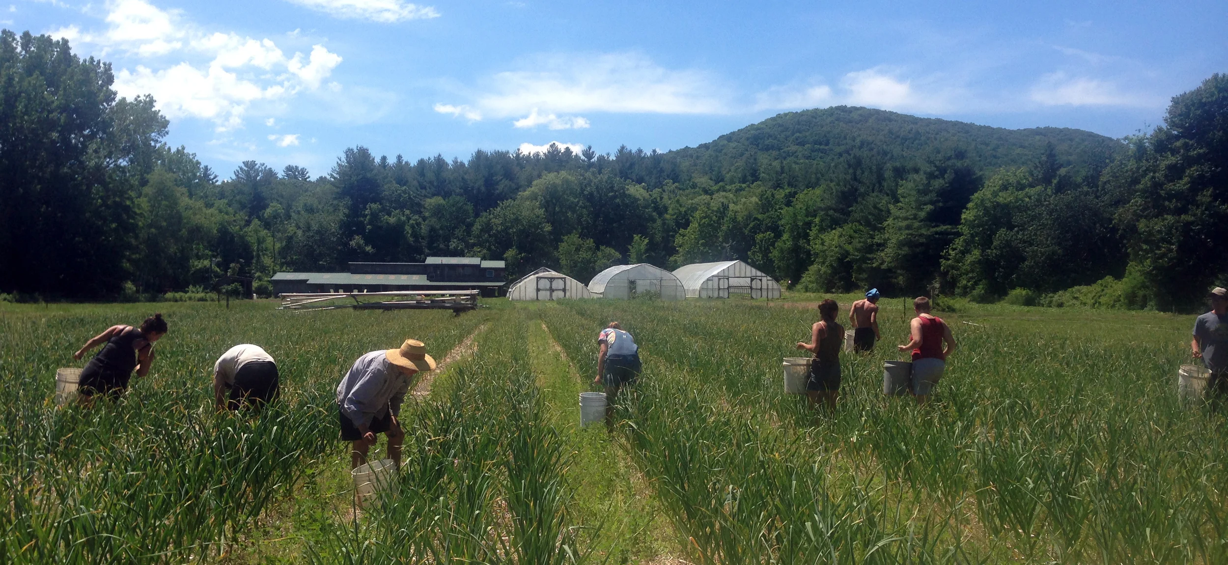 The Weeder Crew Changes It Up And Brings In The SCapes!!