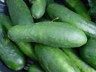 cucumber.jpg