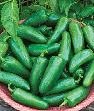 hot peppers2.jpg