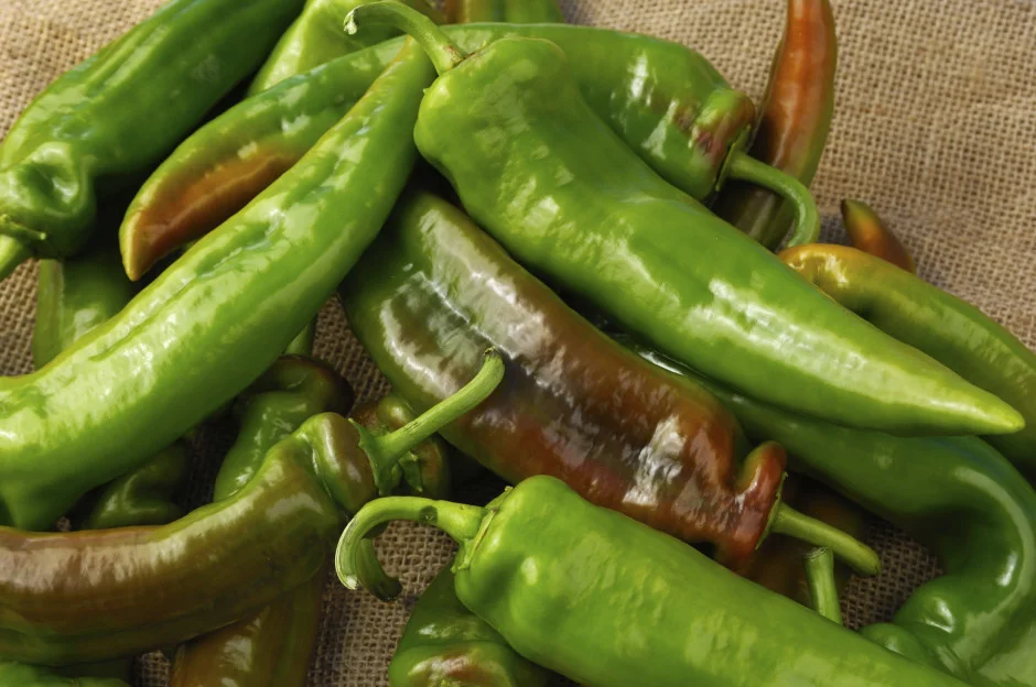 hot peppers3.jpg