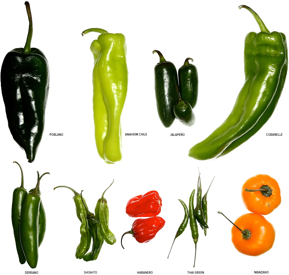 hot peppers4.jpg