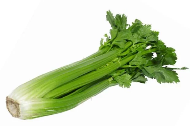 celery.jpeg