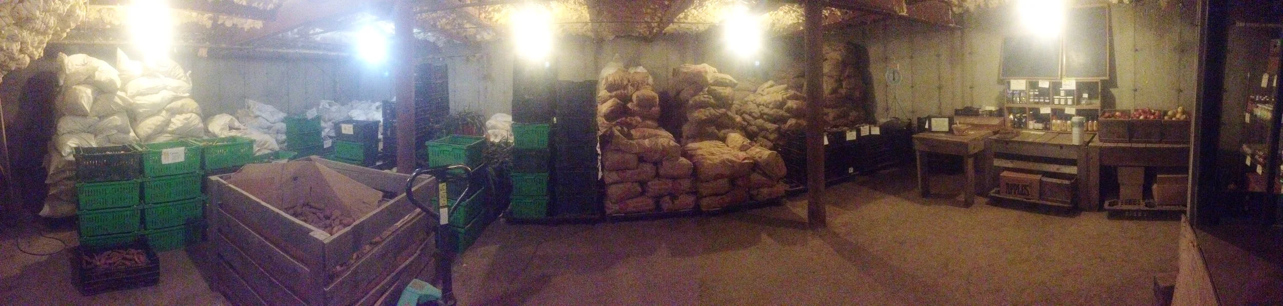 root cellar.jpeg